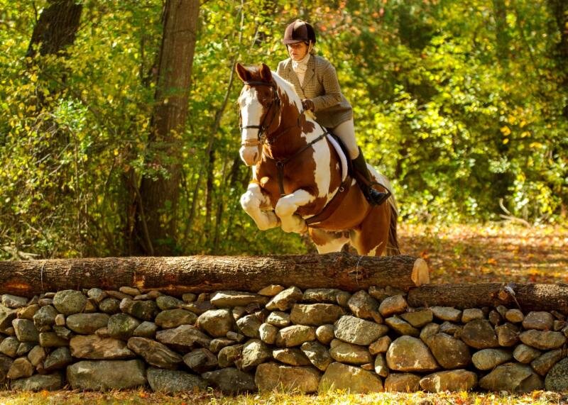 Hunter Trials Schooling Mary Ellen.jpg