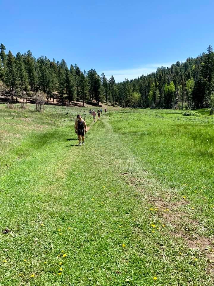 GreenHike.jpeg