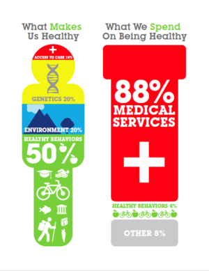 What Makes us Healthy?