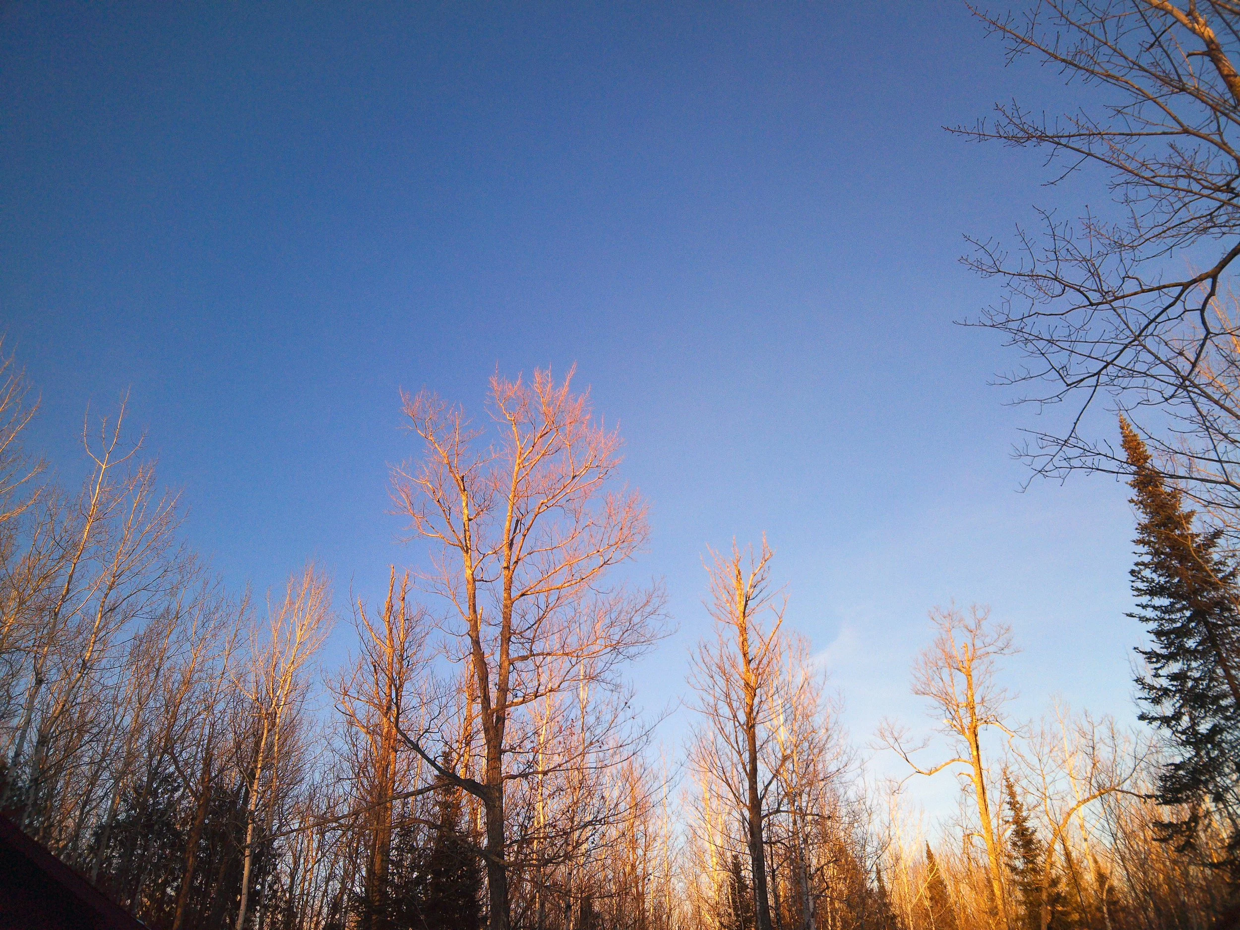 The Healing You Seek is IN You