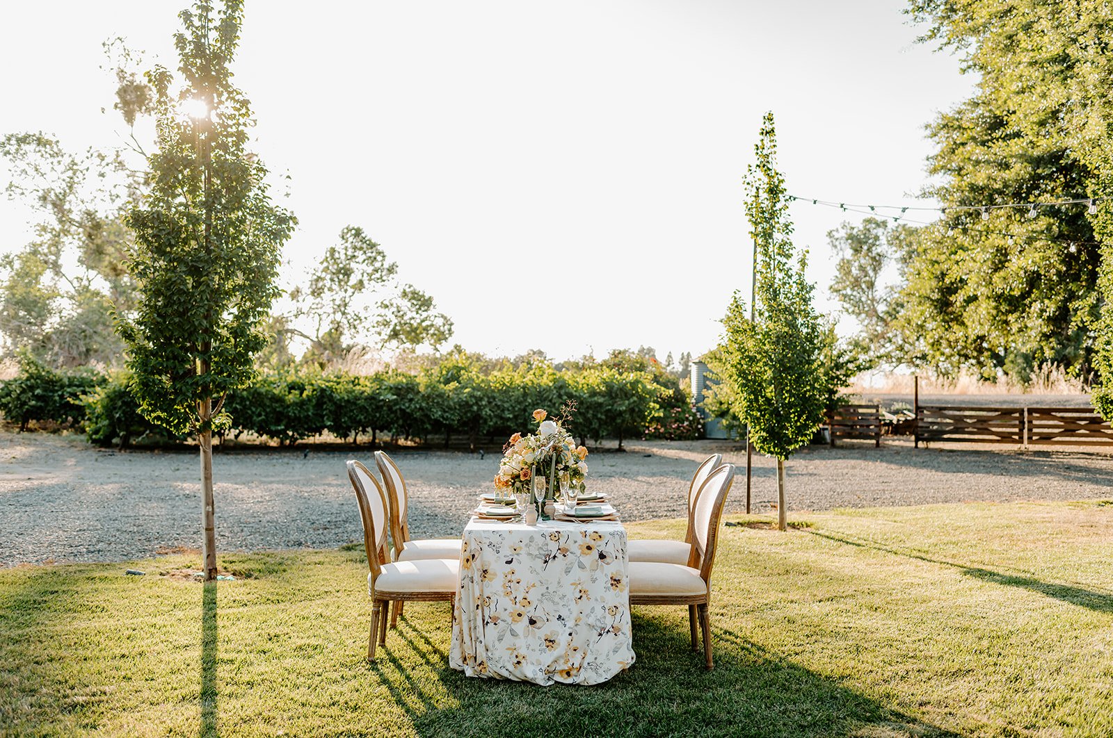 We're here to celebrate your big moments! Contact us for your next Rehearsal dinner, elopement, baby shower, bridal shower, and wedding! #HiddenGrove 📸: @elleventurephoto 

Planning, Design + Coordination: @beeloved14
Makeup + Hair: @beautybykayshia