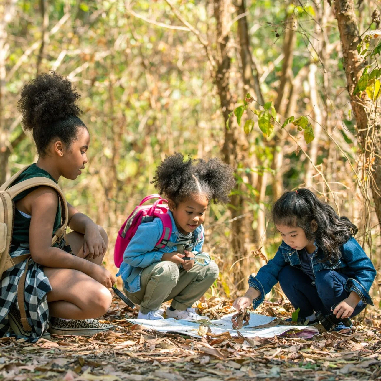 tune into nature camp