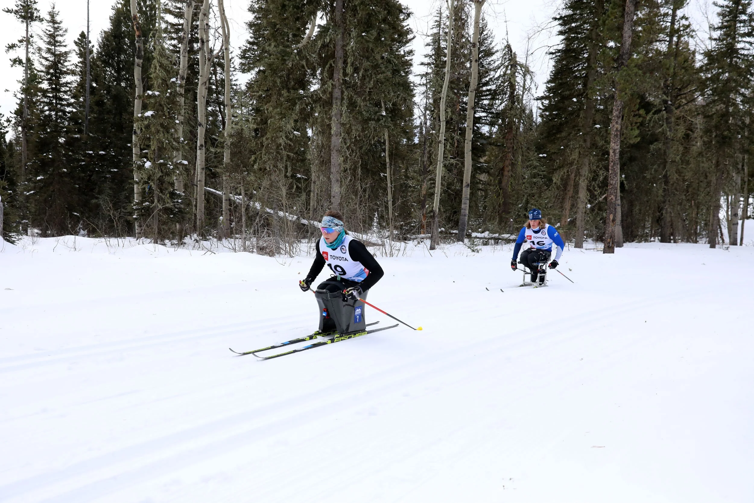CrossCut_SitSki010222_0545.jpeg