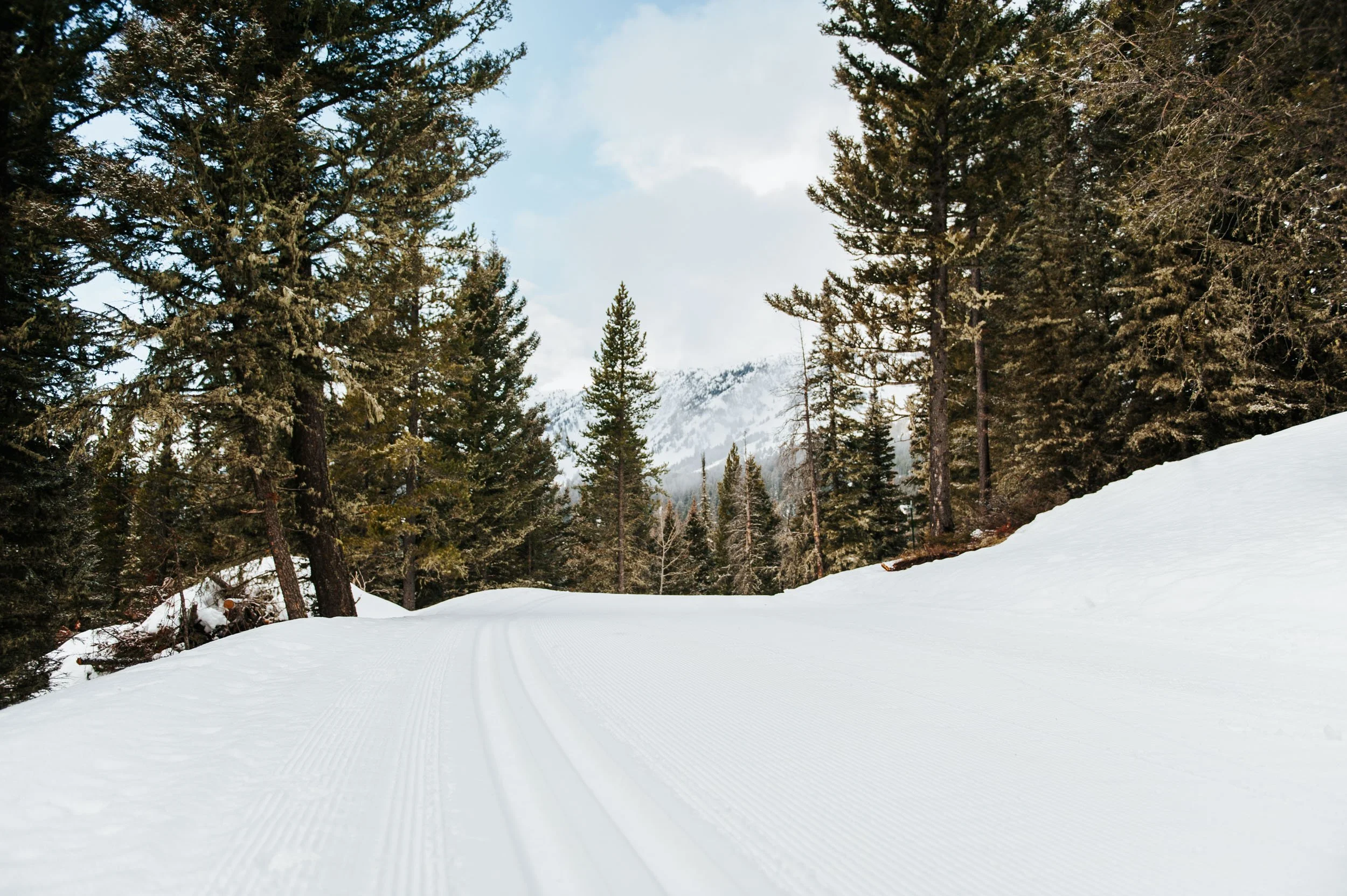 CMSC Scenic Winter2019-13.jpeg