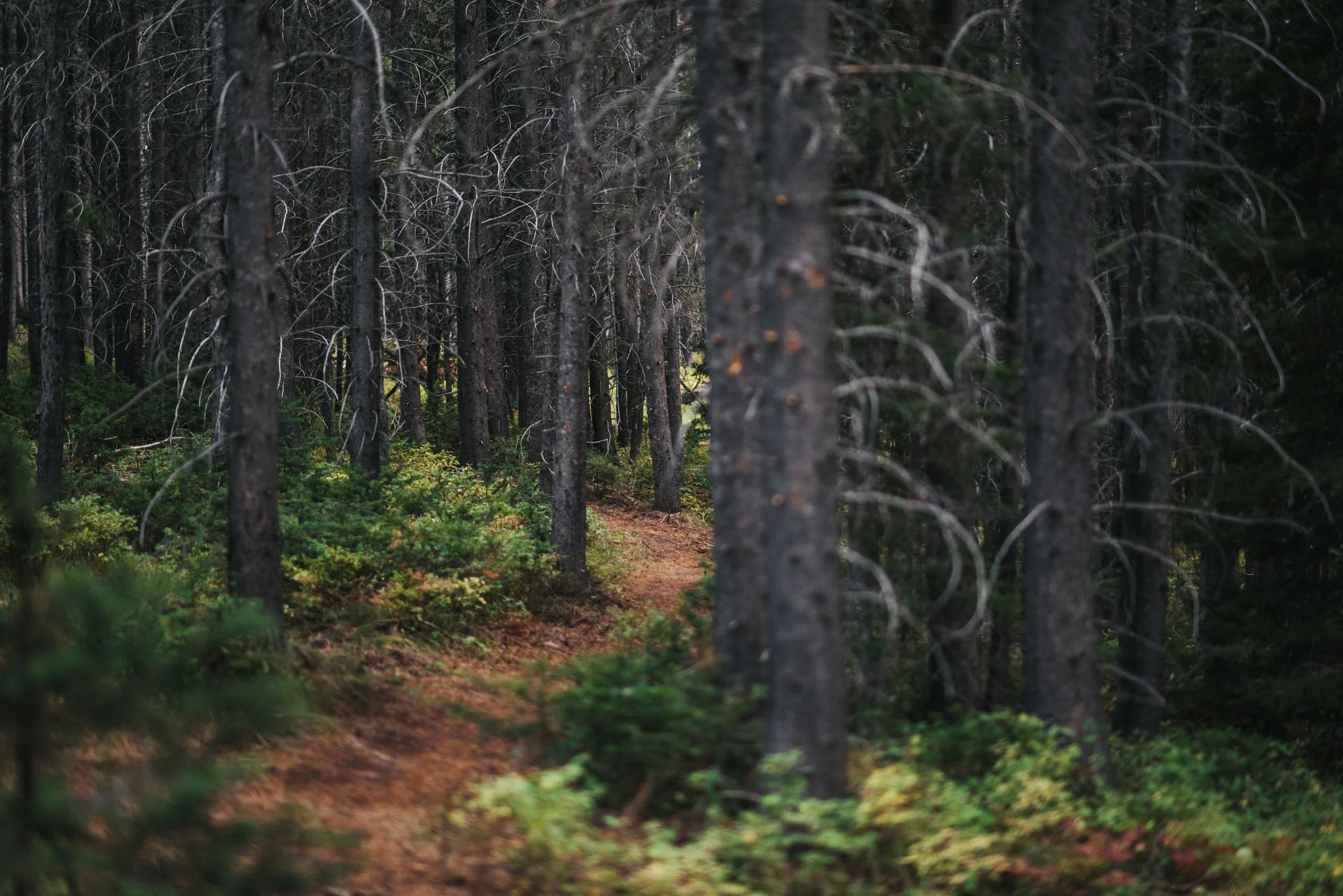 CMSC 2019 Scenic-6.jpeg