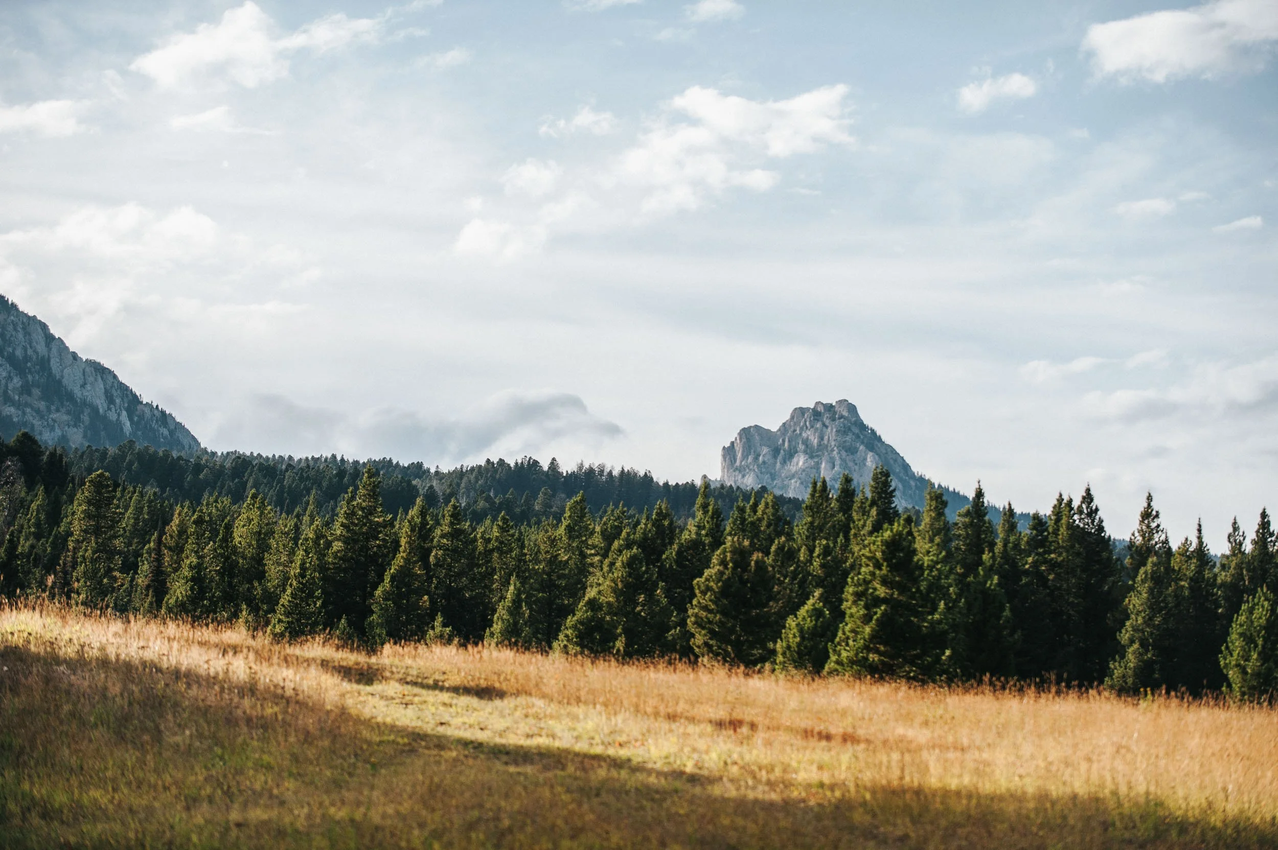 CMSC 2019 Scenic-1.jpeg