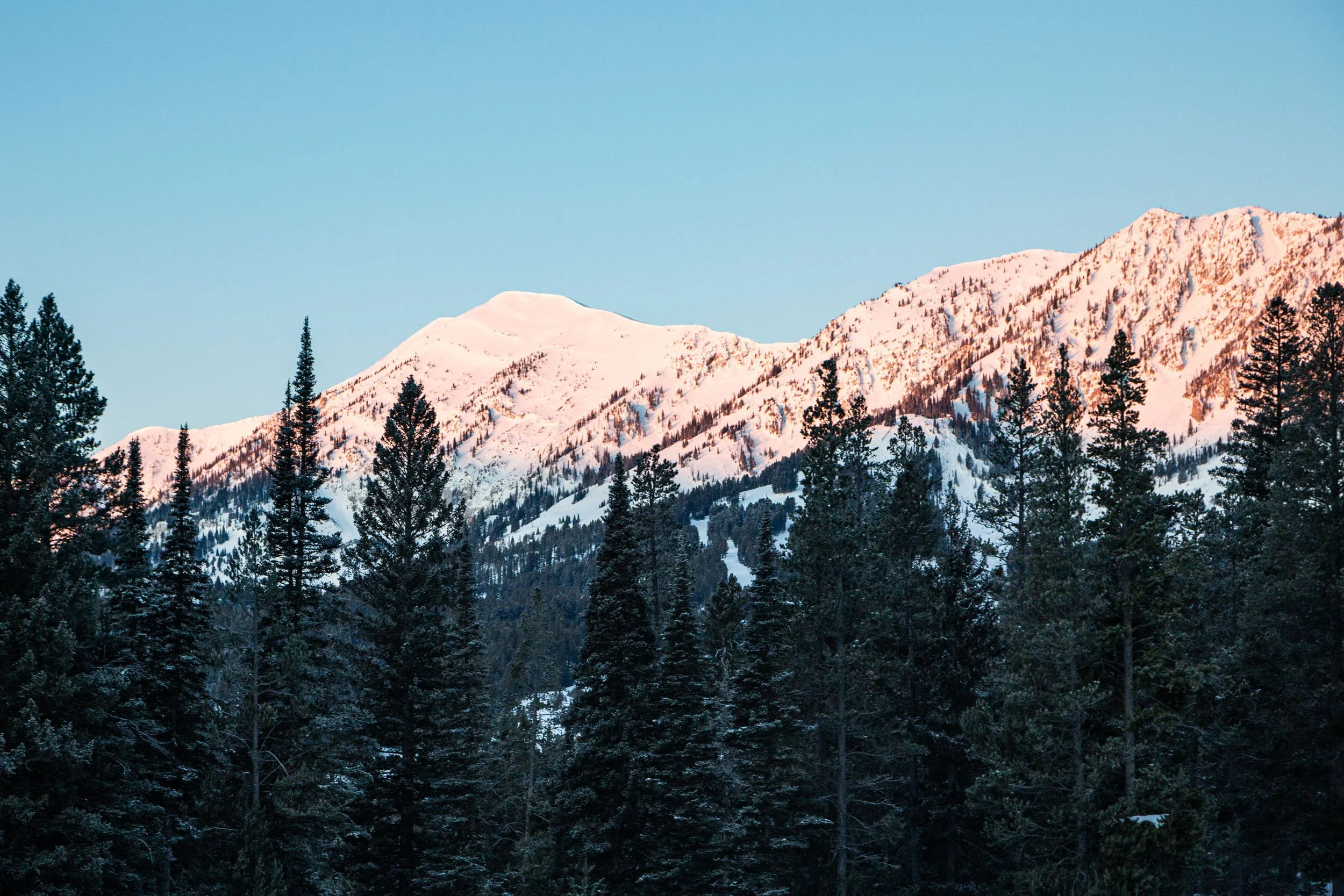 CMSC - Grooming - 2024 - HR-7.jpeg