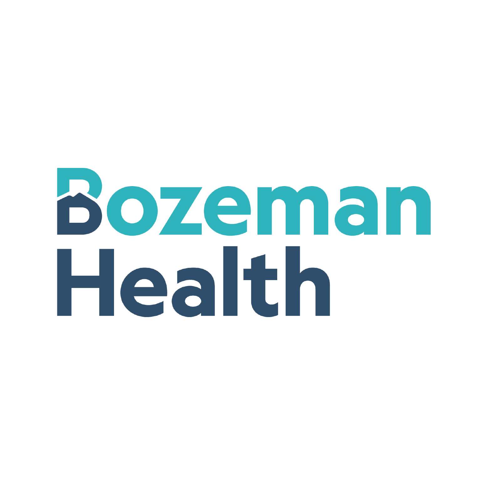 Bozeman Health - Web.png