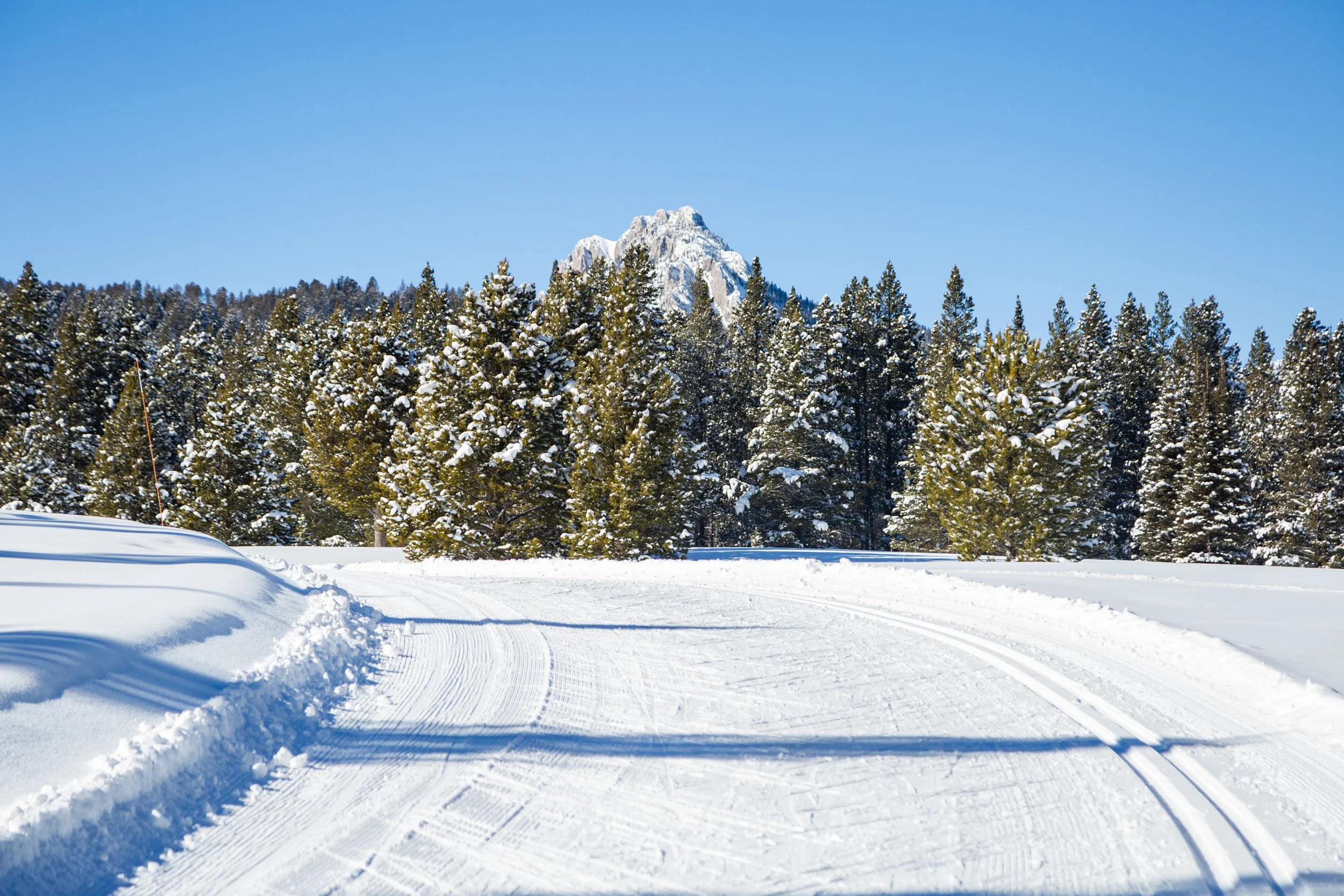 CMSC - Global Snowsports - 2024 - HR-32.jpeg