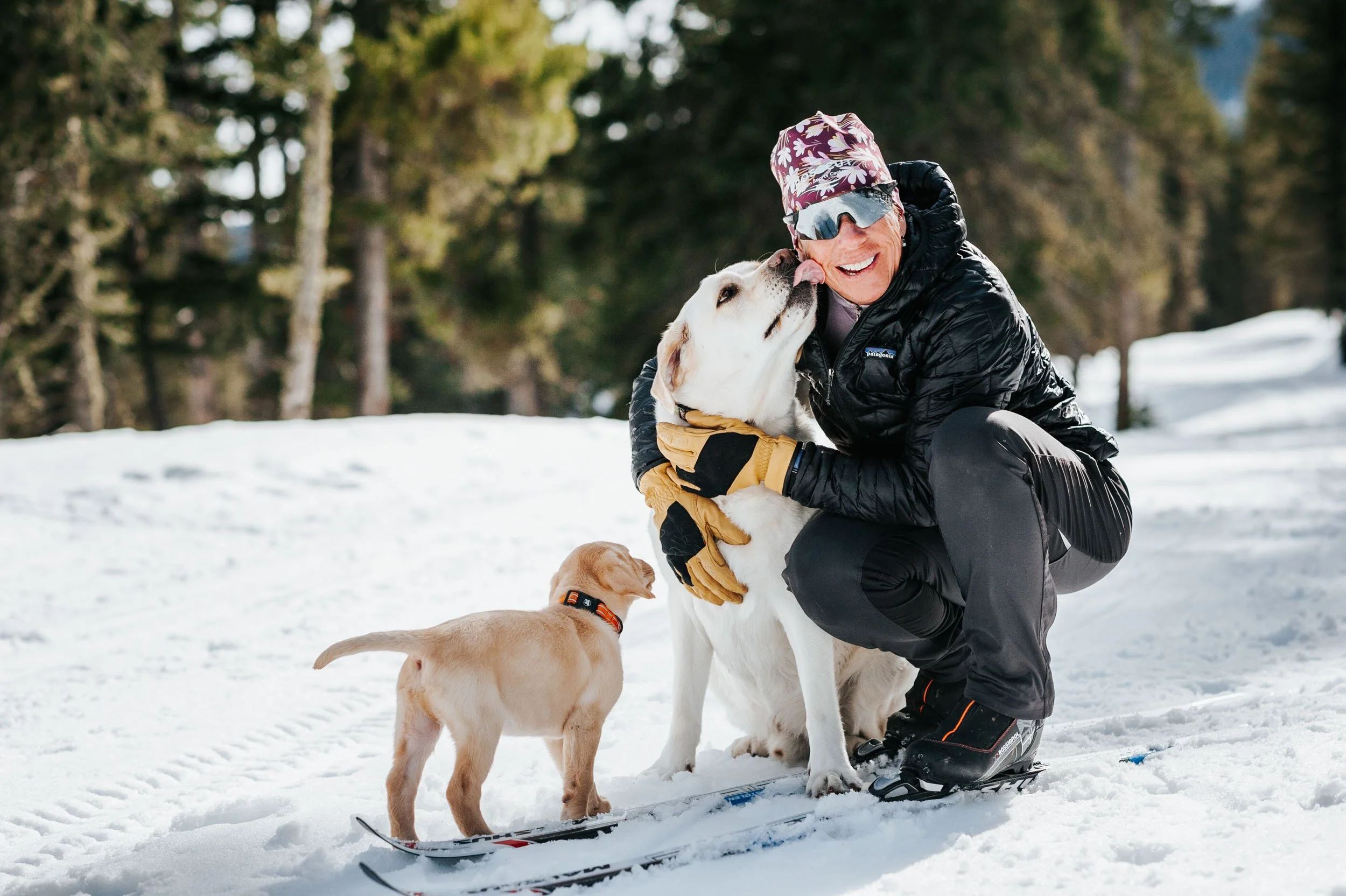 CMSC Dogs Winter2019-14.jpeg