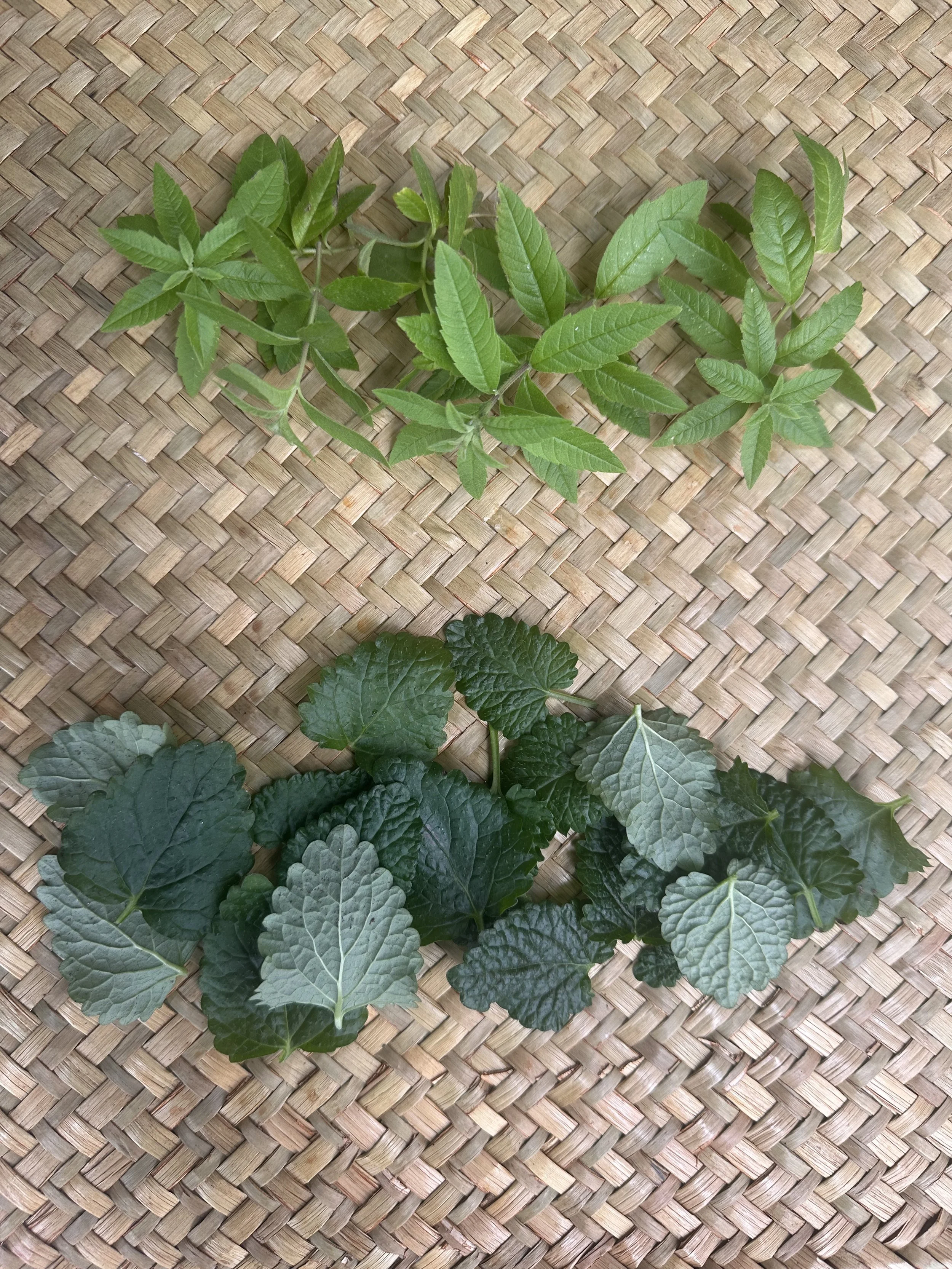 Herbal Relief &amp; Ritual for Allergies and Seasonal Transitions at Remedies Herb Shop