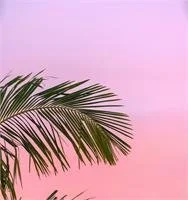 Summer Vitality: Restorative &amp; Acupuncture - Brooklyn Flow
