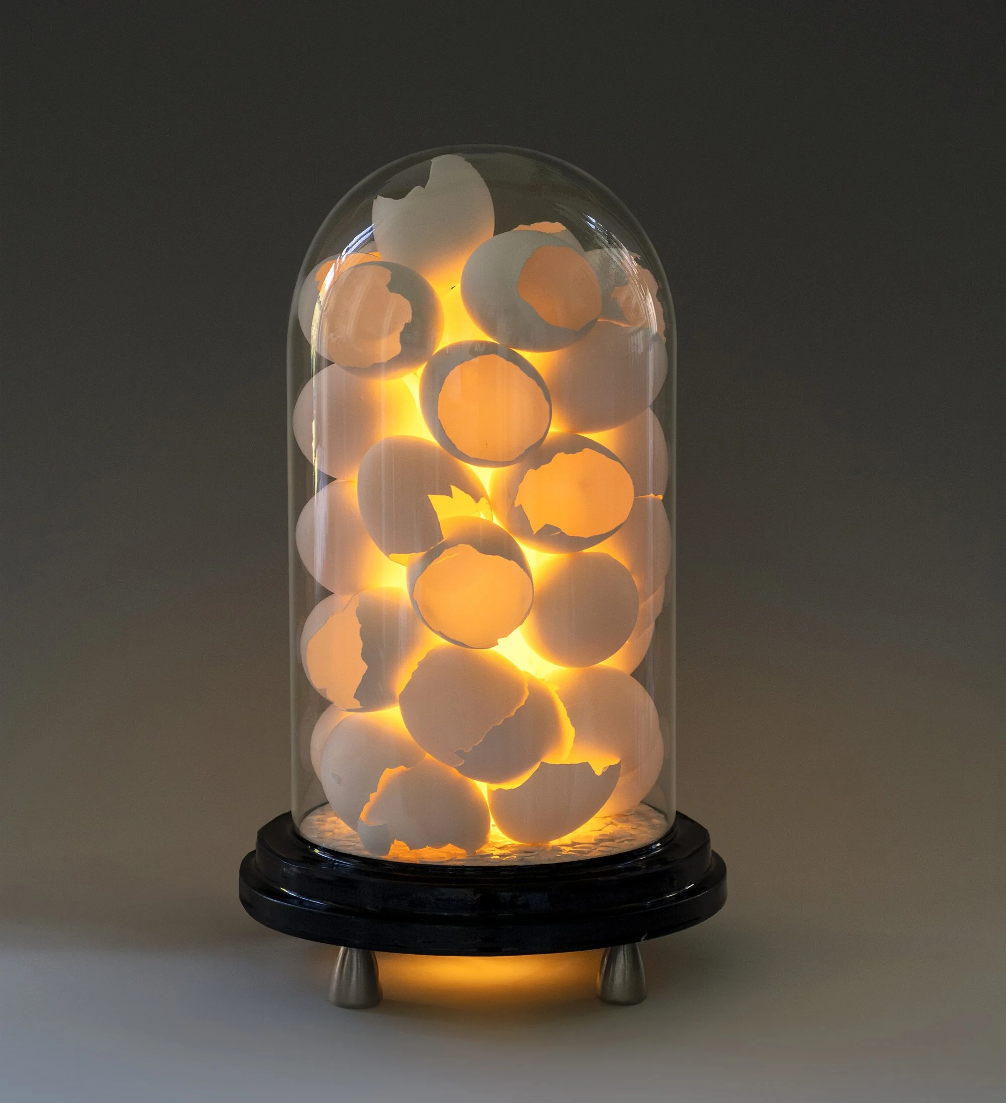  13” x 8” x 8” 330 x 203 x 203mm 