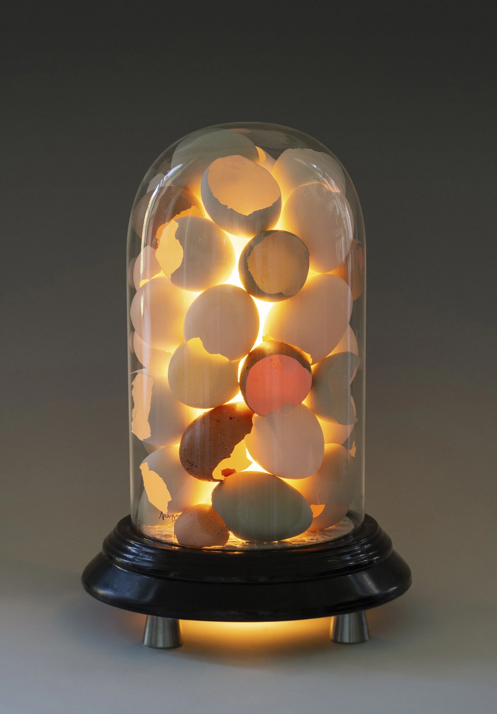  13” x 8” x 8”      330 x 203 x 203mm 