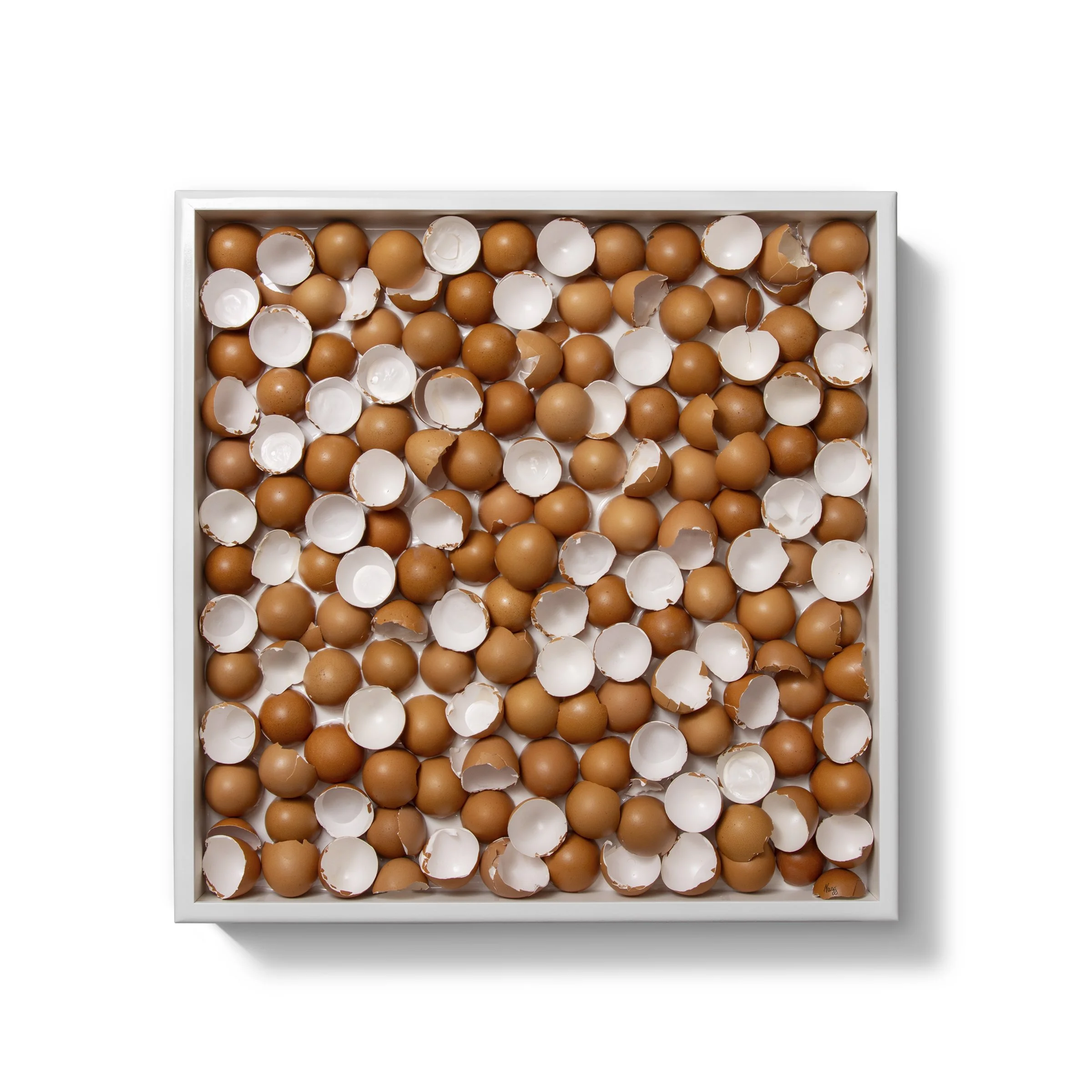 Brown Egg Composition #1