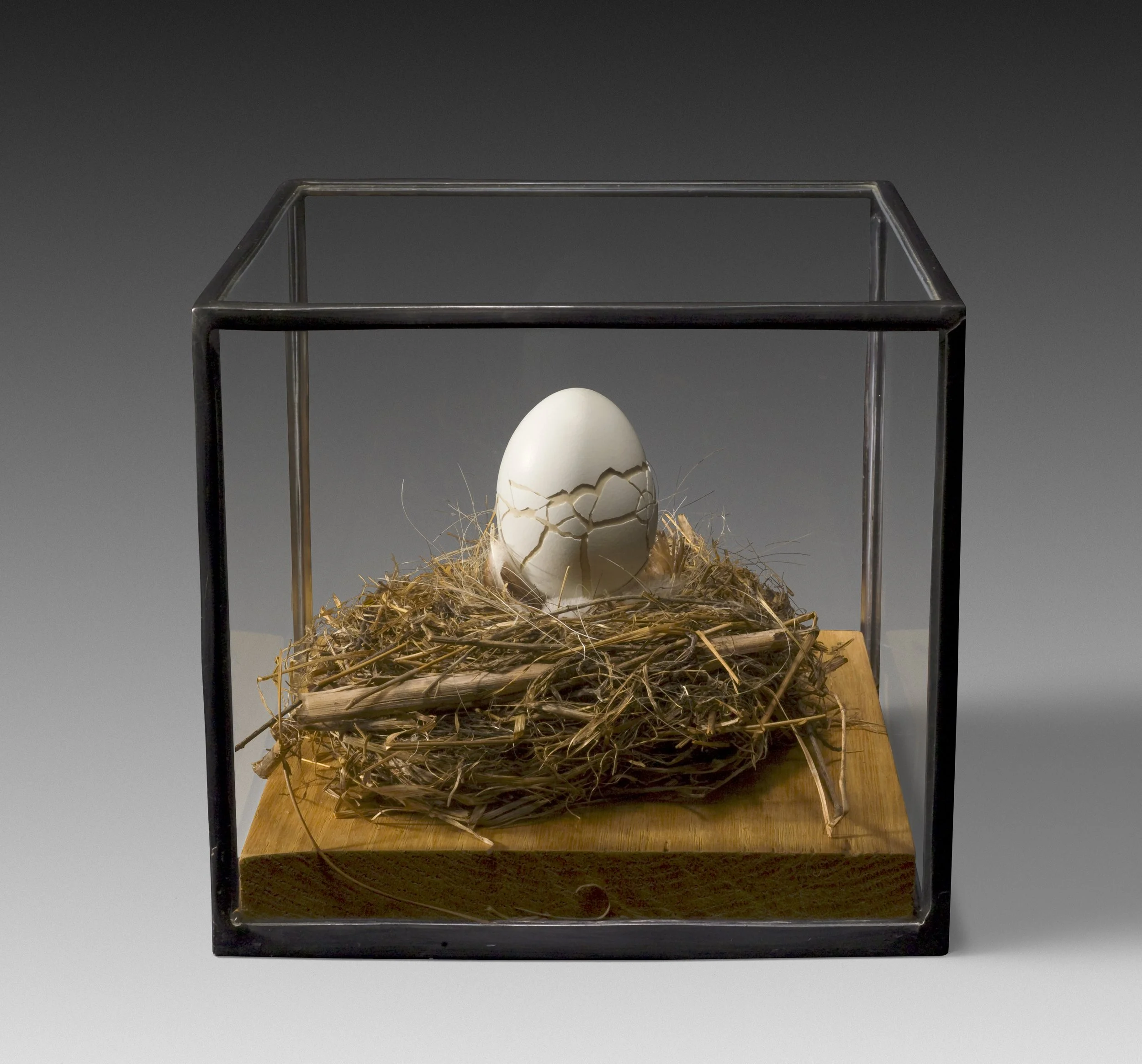 Brown egg hatching