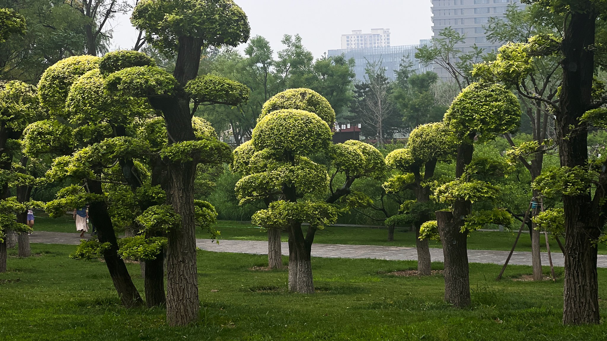 Best places in Beijing to take photos