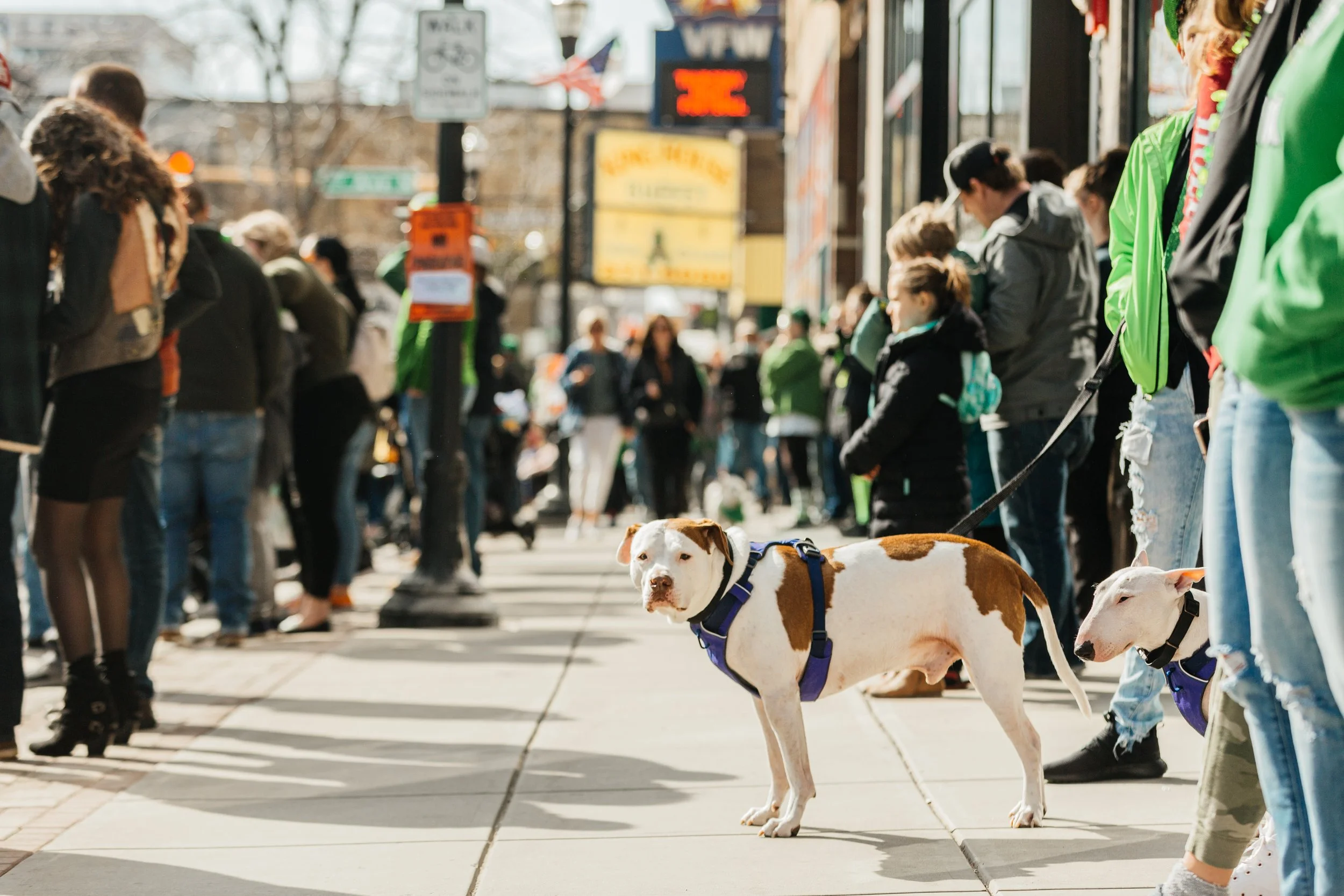 Image DowntownLifestyle KG 100