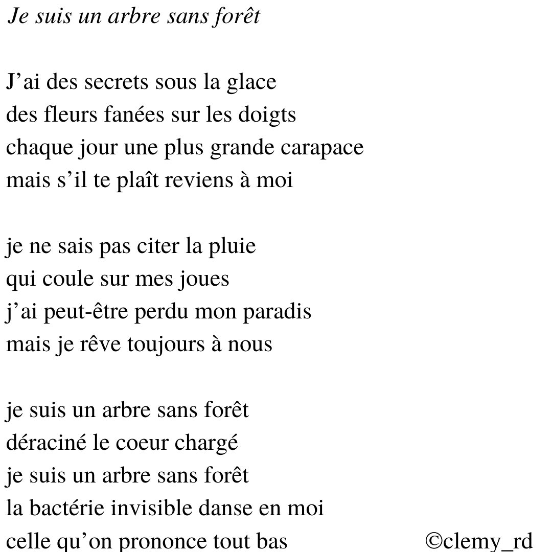 arbre sans forêt 2.png