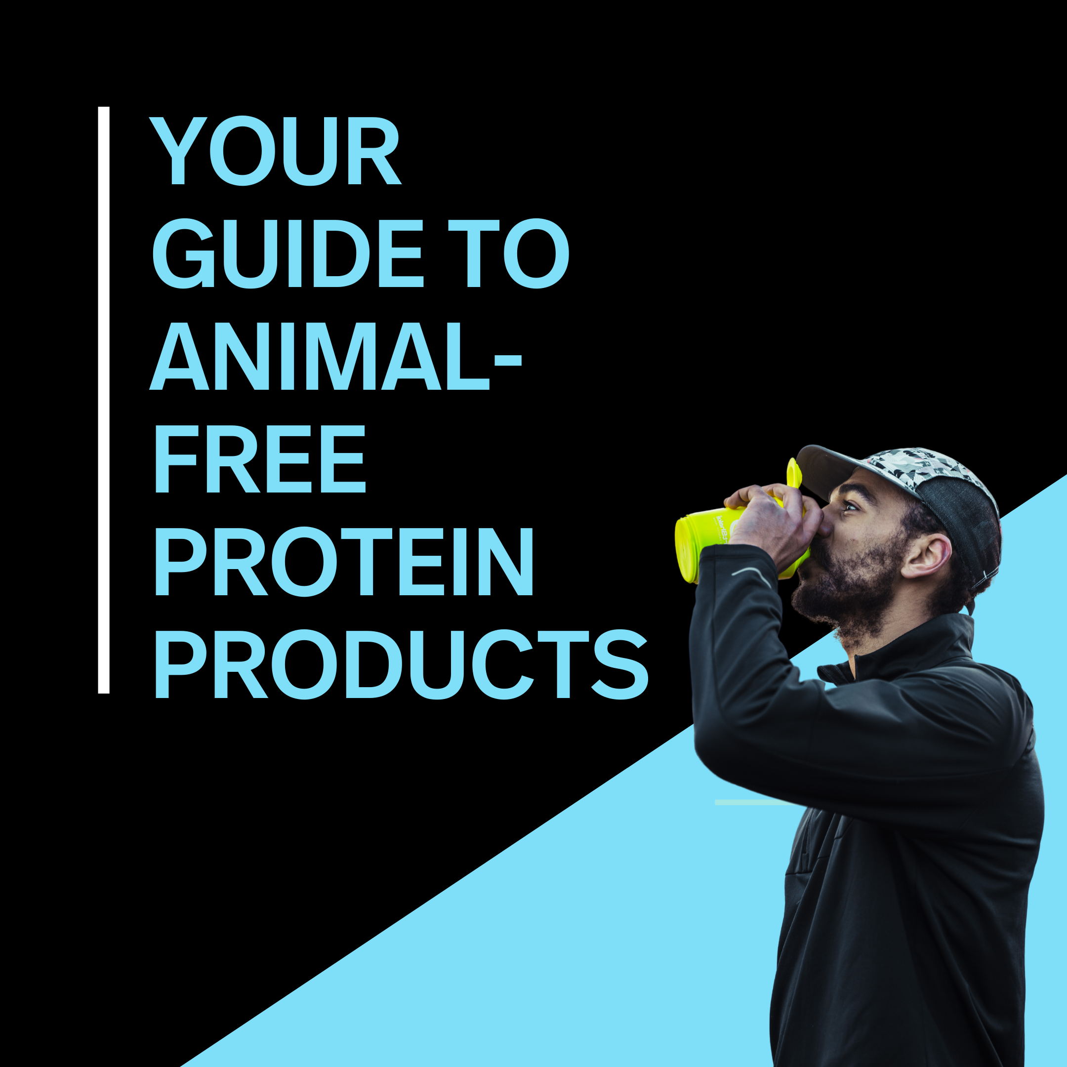 Protein Alternatives.png