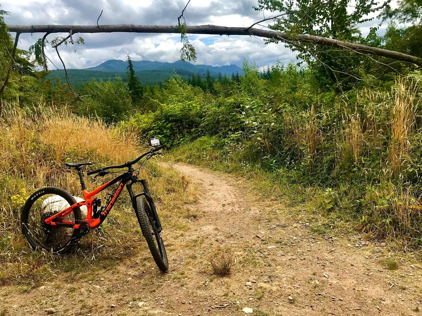 &ldquo;Begin today. Declare out loud to the universe that you are willing to let go of struggle and eager to learn through joy.&rdquo; -Sarah Ban Breathnach 

🚲💙🚲💙🚲💙🚲💙

Trying the famed Galbraith Mountain and falling in love with riding. Than