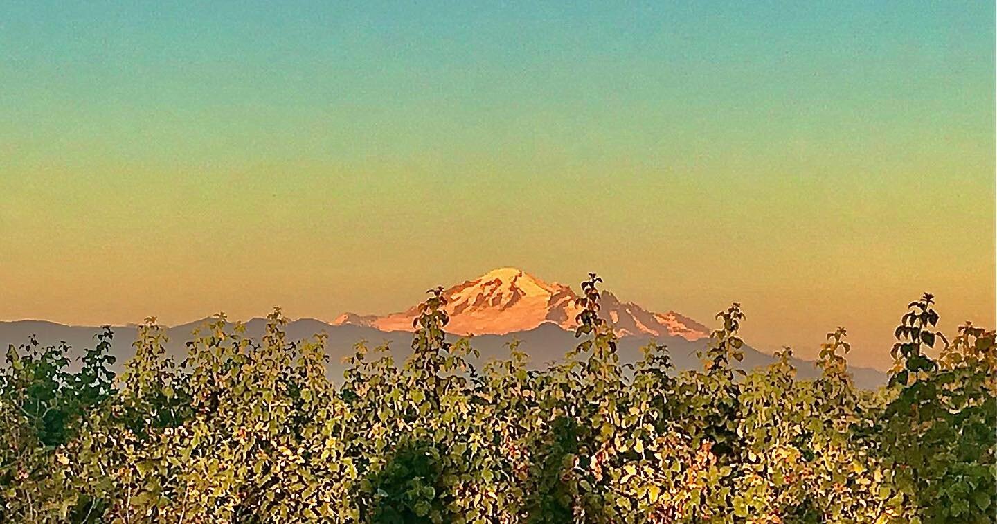 &ldquo;Softly the evening came with the sunset.&rdquo; -Henry Wadsworth Longfellow
