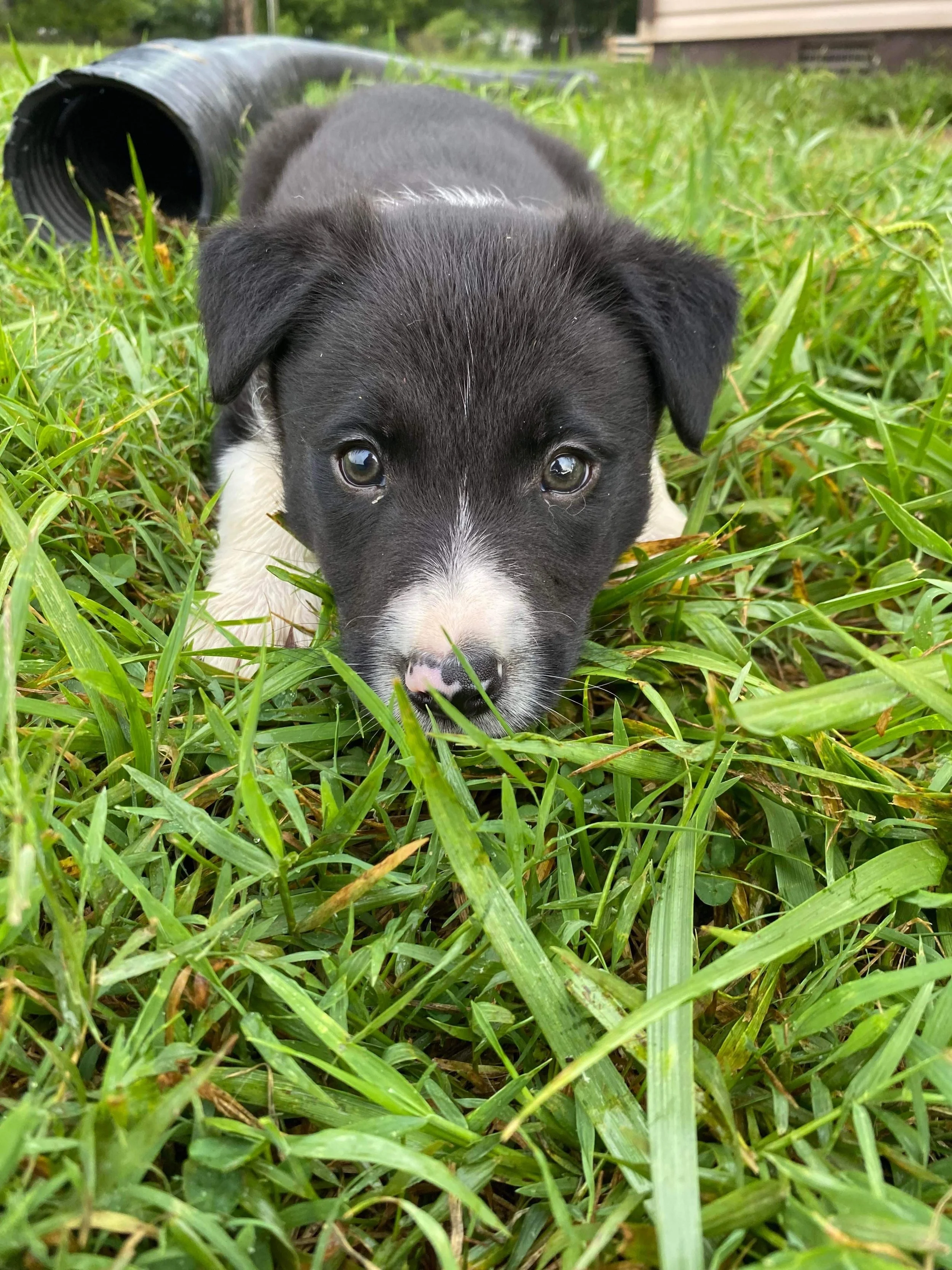 Crunch is coming home!