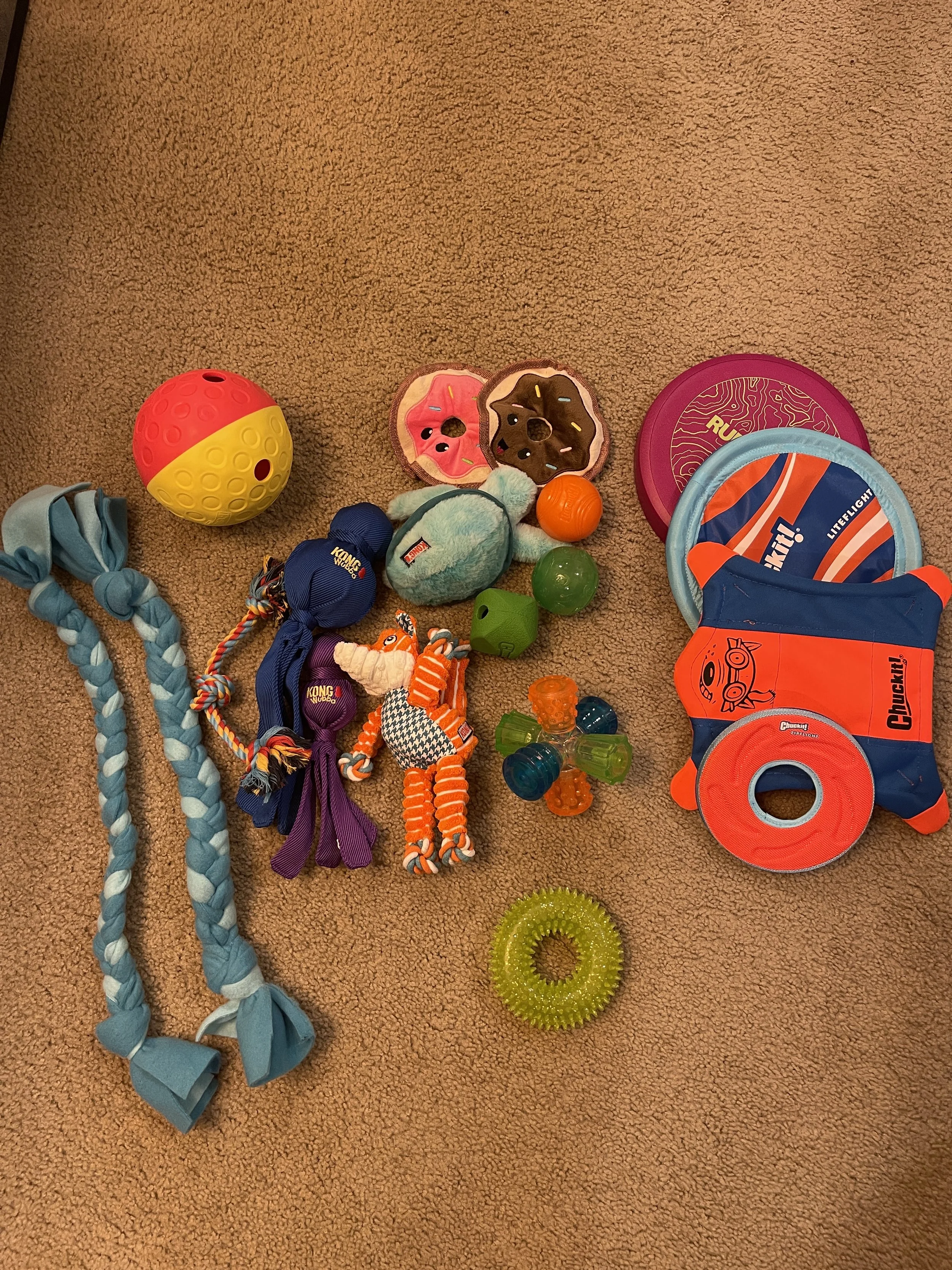 Master Puppy Checklist: Preparing for Puppy