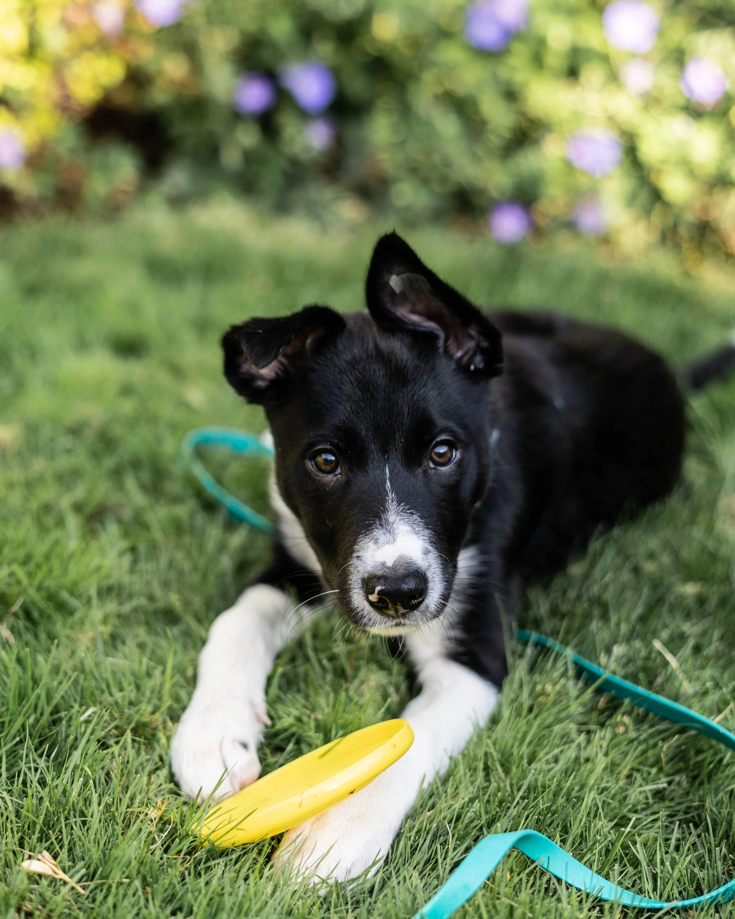 Training sessions master post 