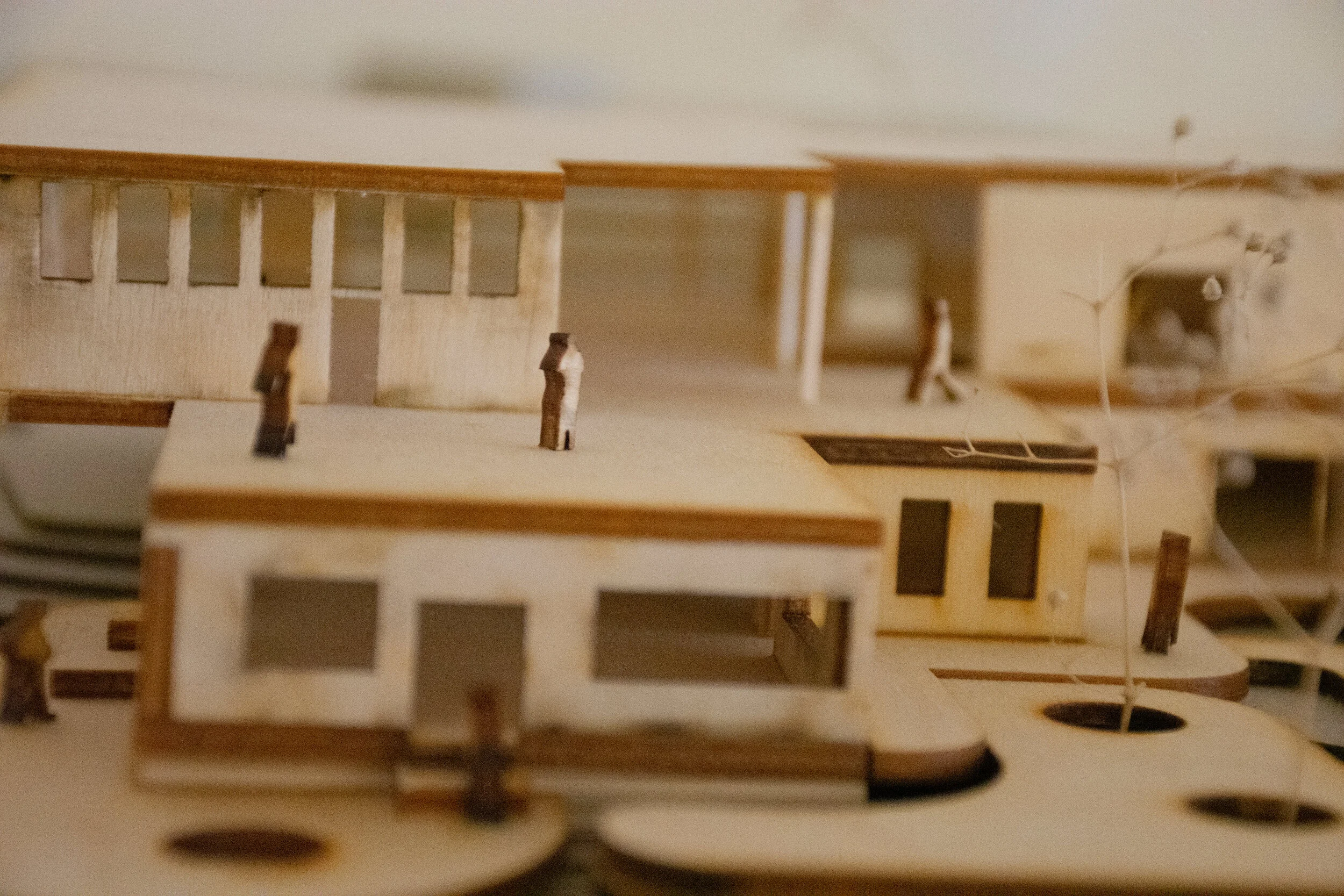 Lasercut wood and chipboard