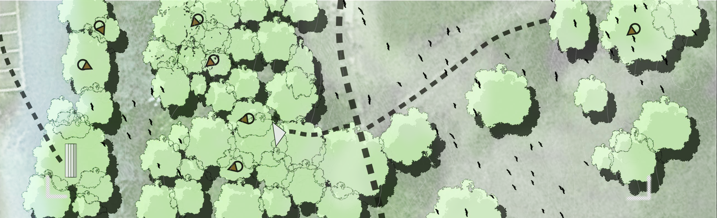 Plan view Illustration of the circulation, vantage points, and birdhouse locations. Multiple styles of birdhouses were designed for the different species of the area.