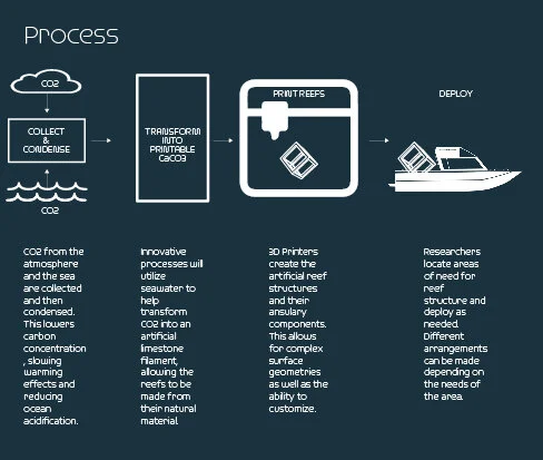 Diagramss adjusted-01.jpg