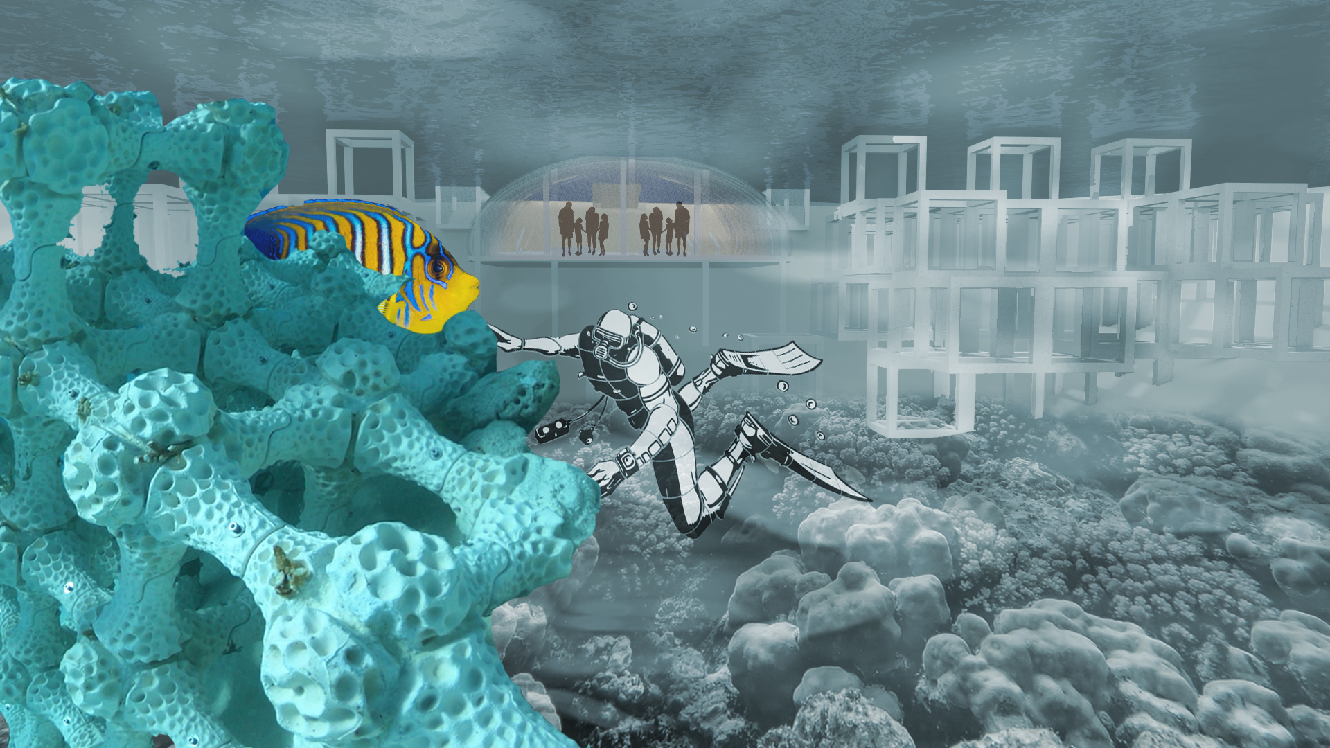 Competition Entry For IAAC