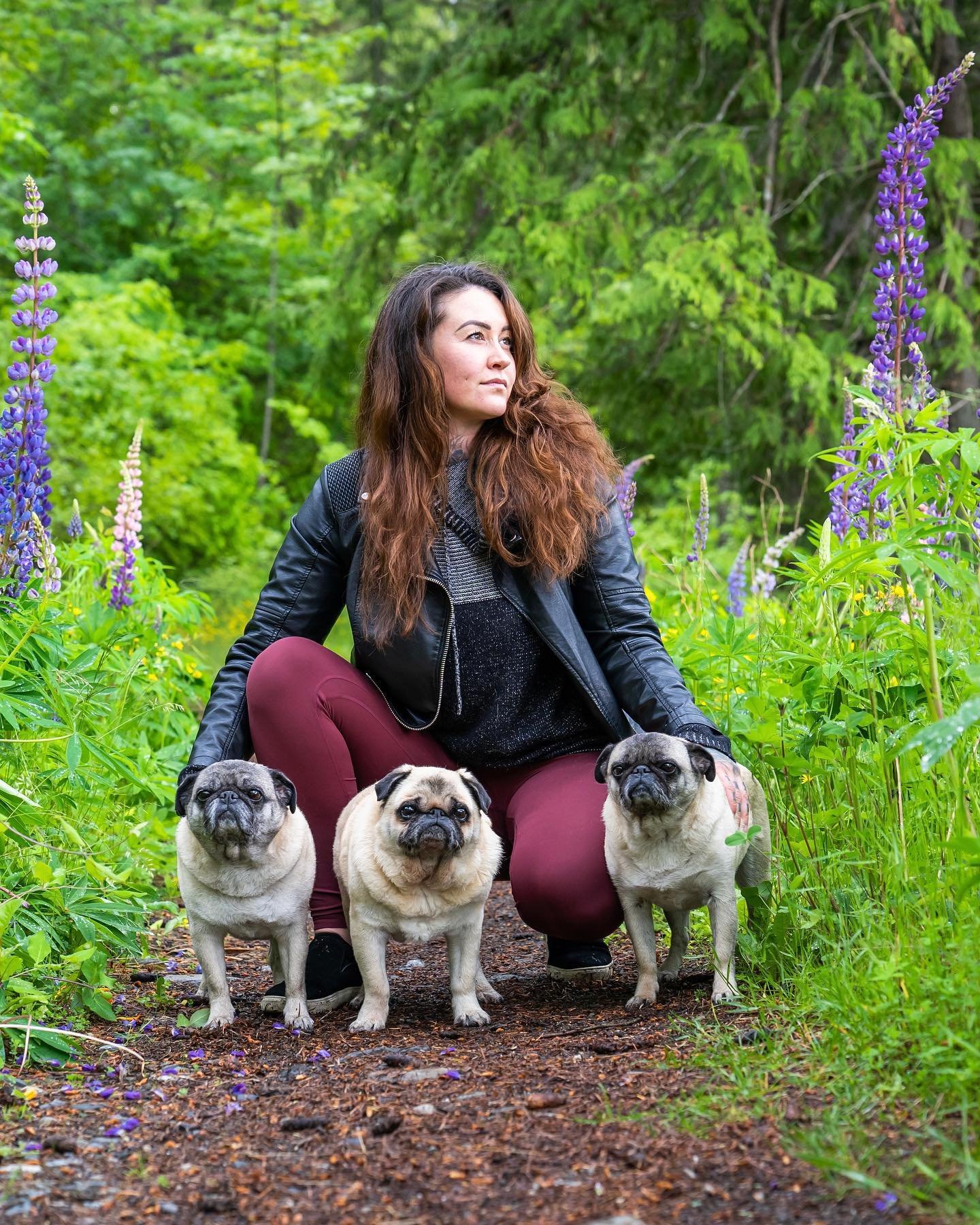 The Lupine Lady 🌷🐾

📷: @jesseschpakowski @thepugtographer for @grumblefarm 😘