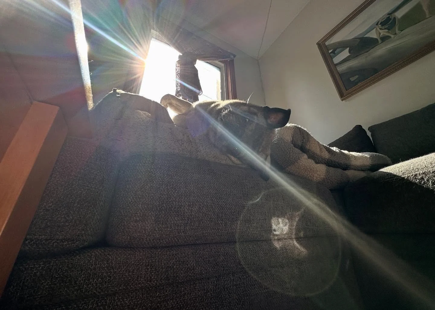 I&rsquo;m currently going through my old hard drives from 2020 onwards in search of something special, so that I can tell a story&hellip; and my life is flashing right before my eyes.

There are so many memories I want to share, here, but these two p