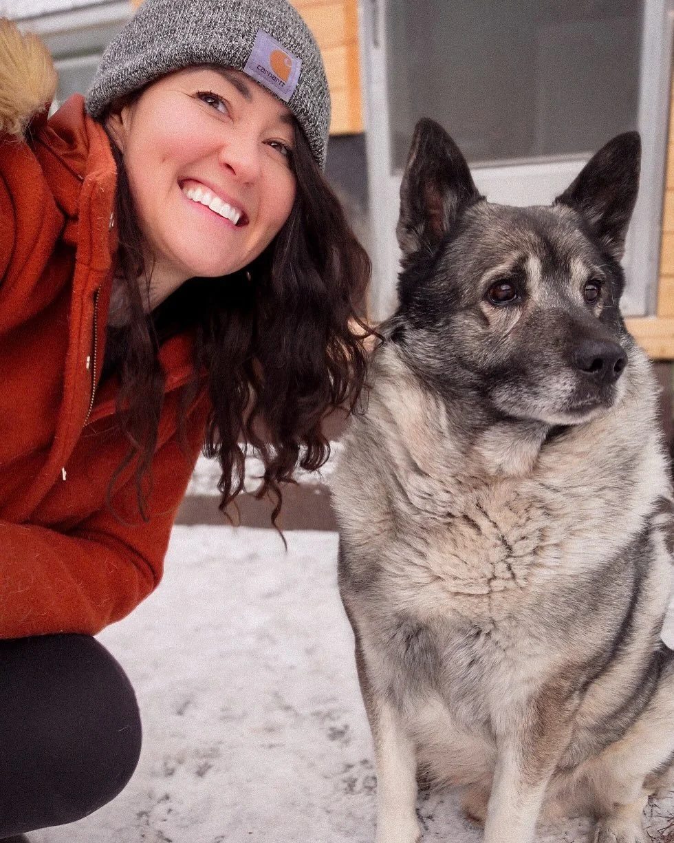 MAGNUS the Elkie! 😍

I was lucky enough to experience my first-ever introduction to this GORGEOUS breed&mdash;Norwegian Elkhounds&mdash;while on a remote cabin-sit located high up on the Thompson Plateau of British Columbia&rsquo;s southern Interior