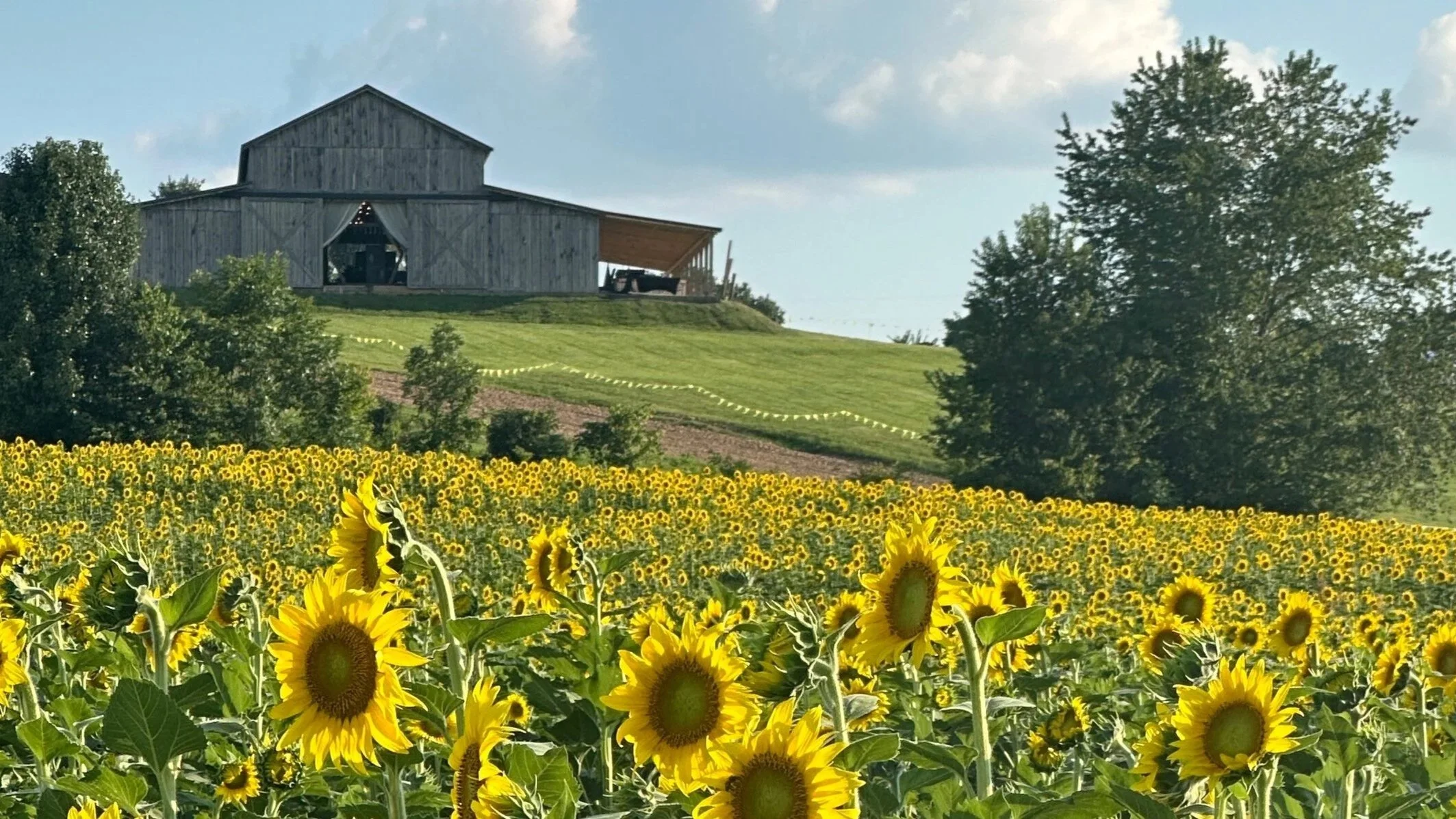 Nashville Drone Co Marketing Videos and Photos