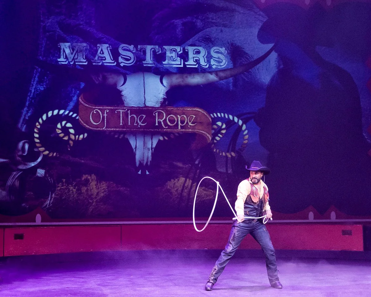 Amazing Lasso Artist