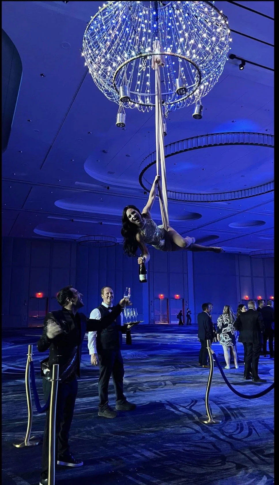 Aerialist: Chandelier