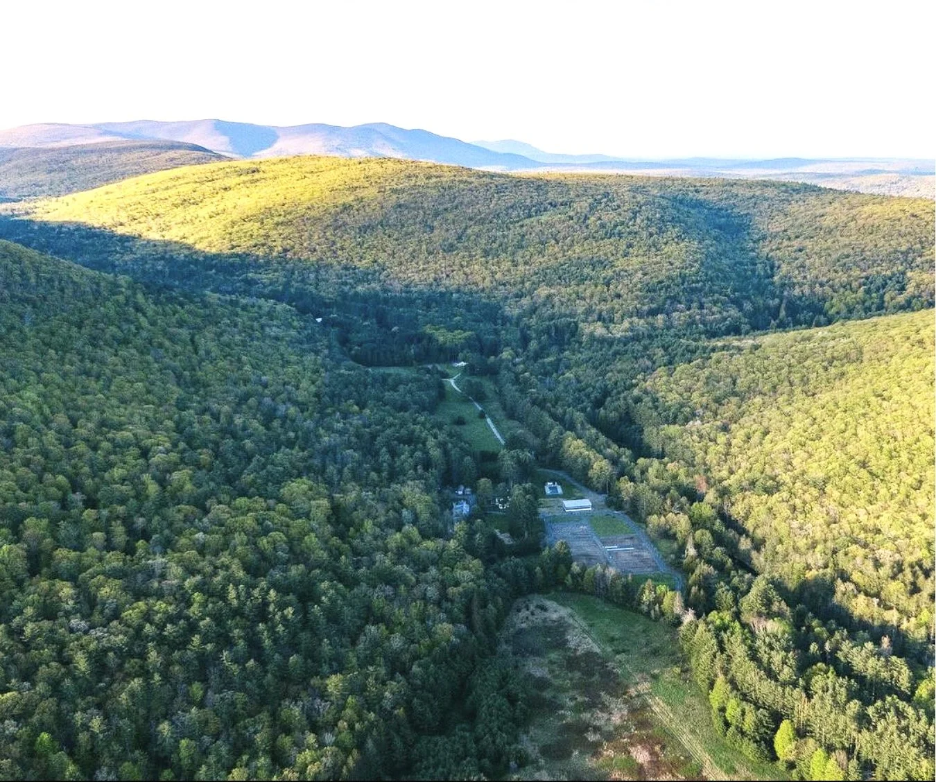 Screenshot 2024-10-03 at 4.48.07 PM.jpg