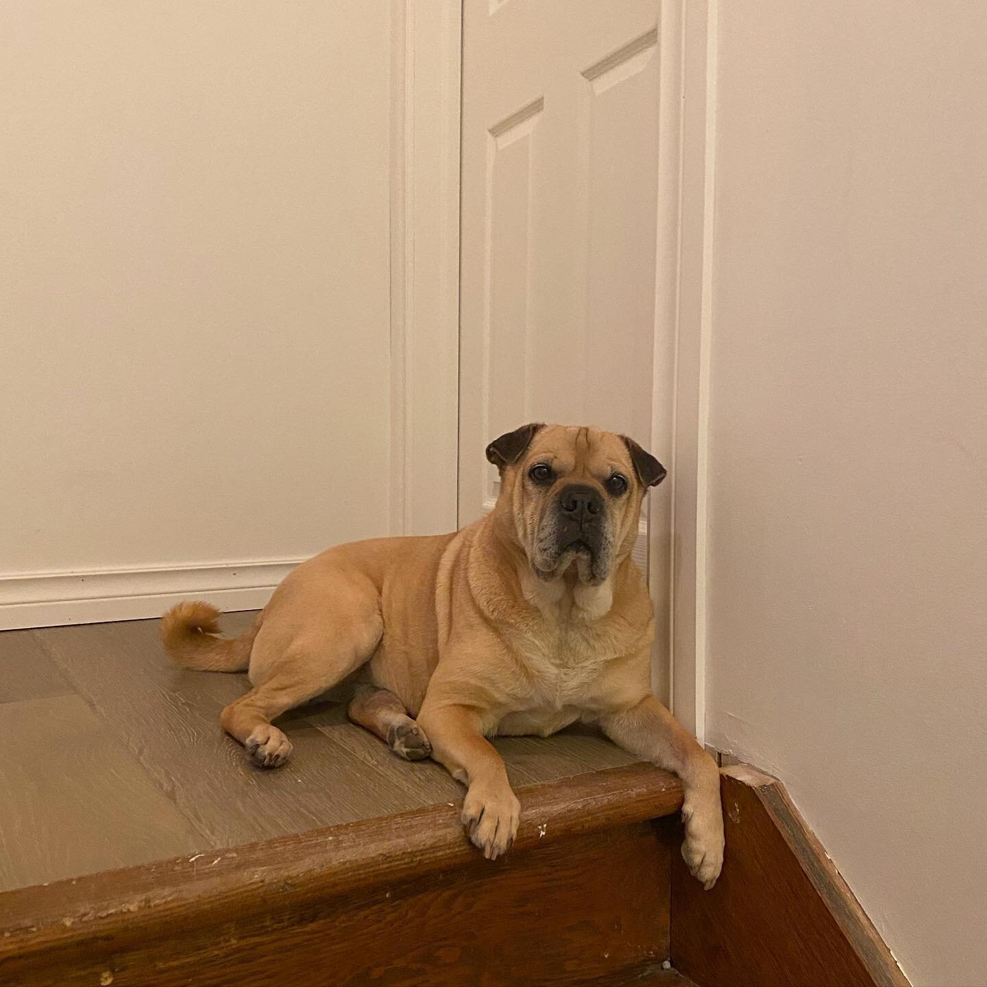 Lexi guarding the bathtub