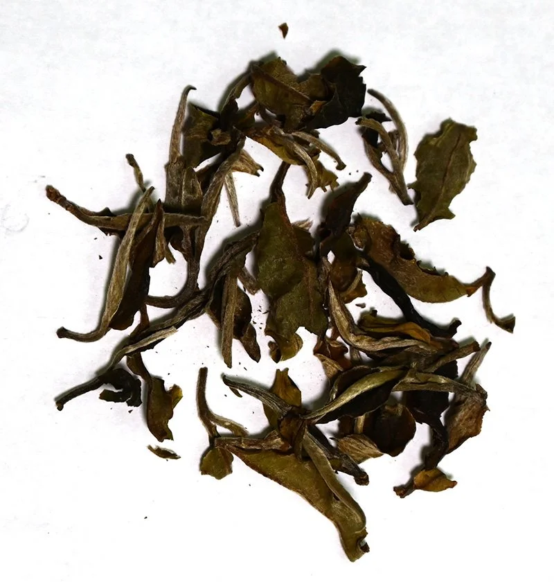 Pai Mutan White loose tea