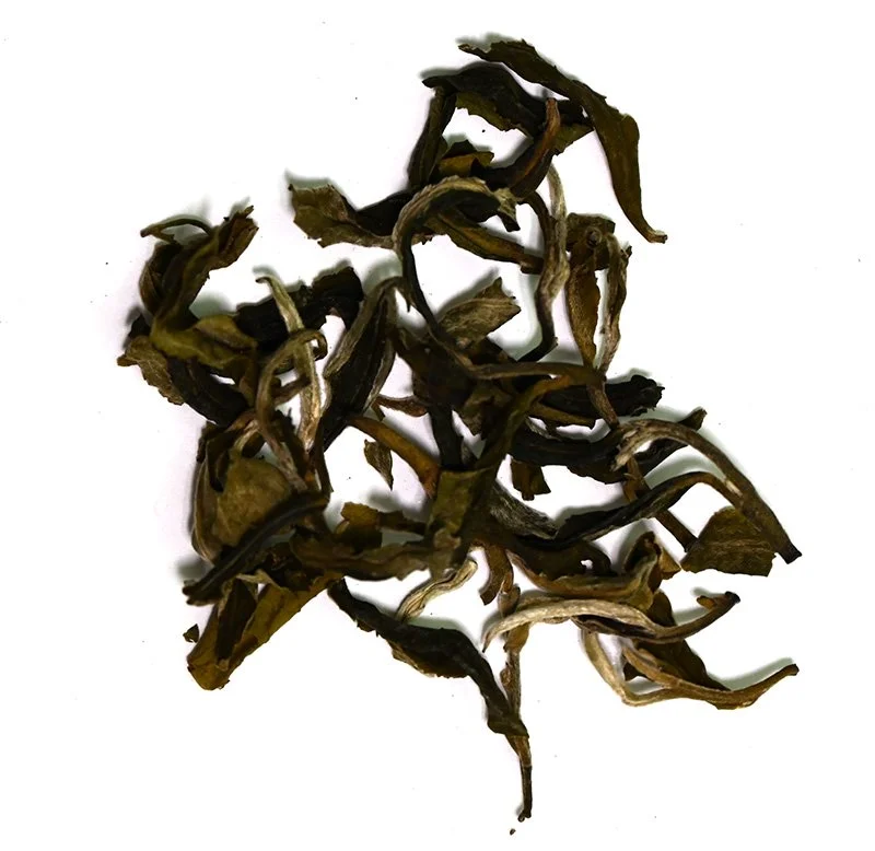 Green Silk Mao Feng loose tea