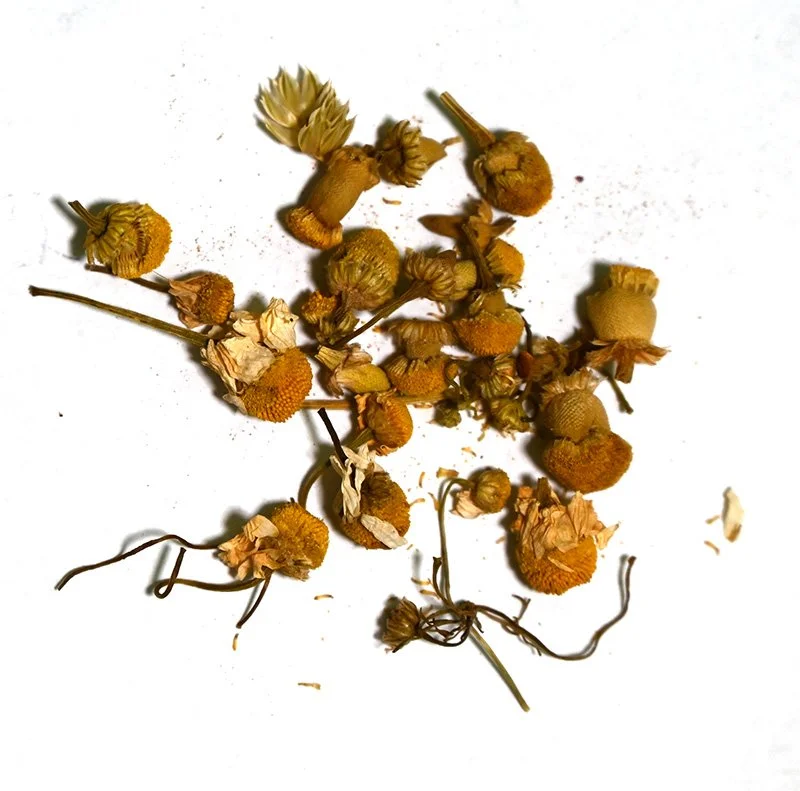 Egyptian Chamomile loose tea