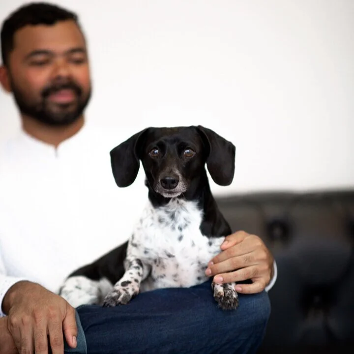 _Domestic-Violence-Pet-Safety-Resourece-jason-syptak-photographer-video-editor-michael-leedy-1.jpg