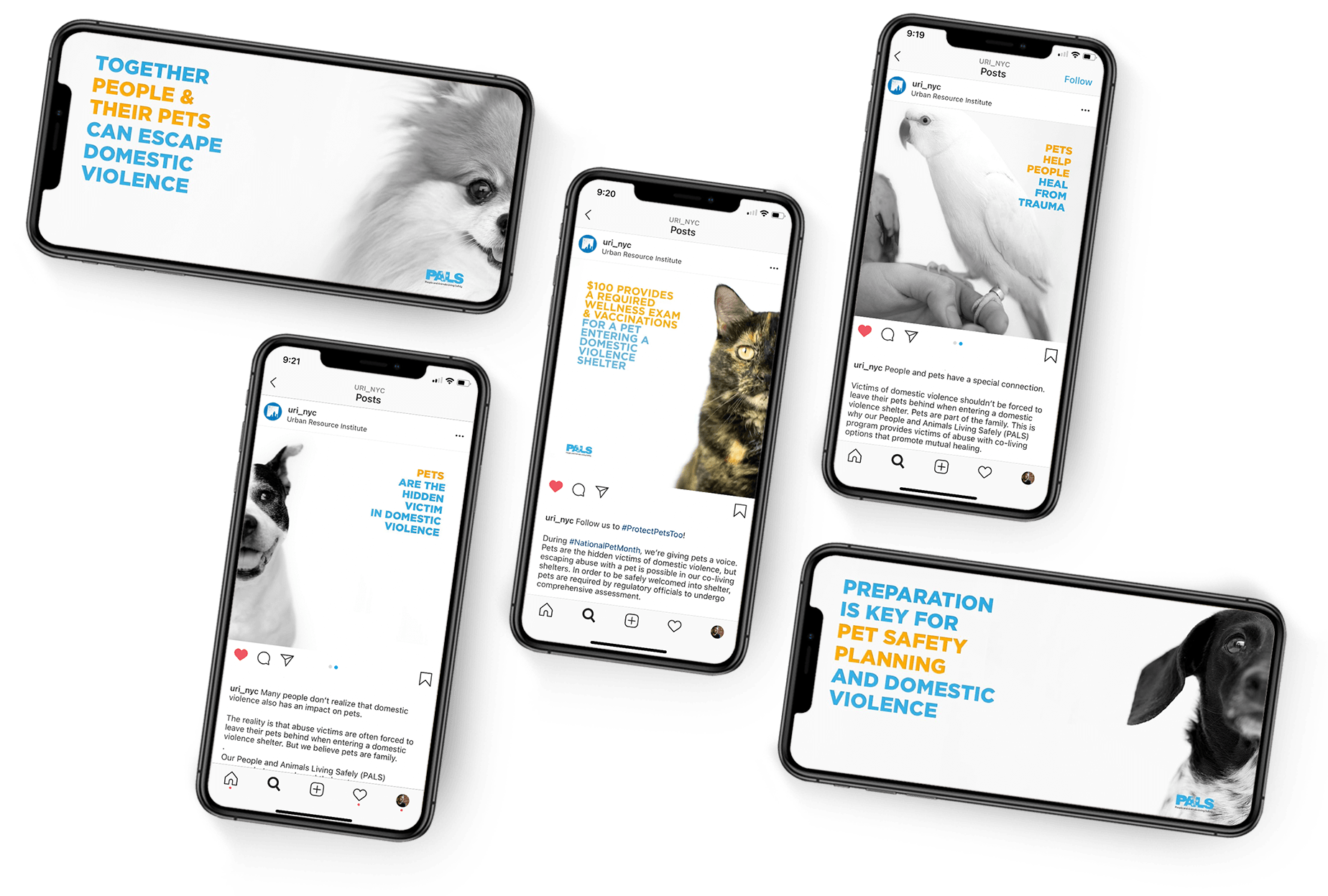 pets.iphone-7.png