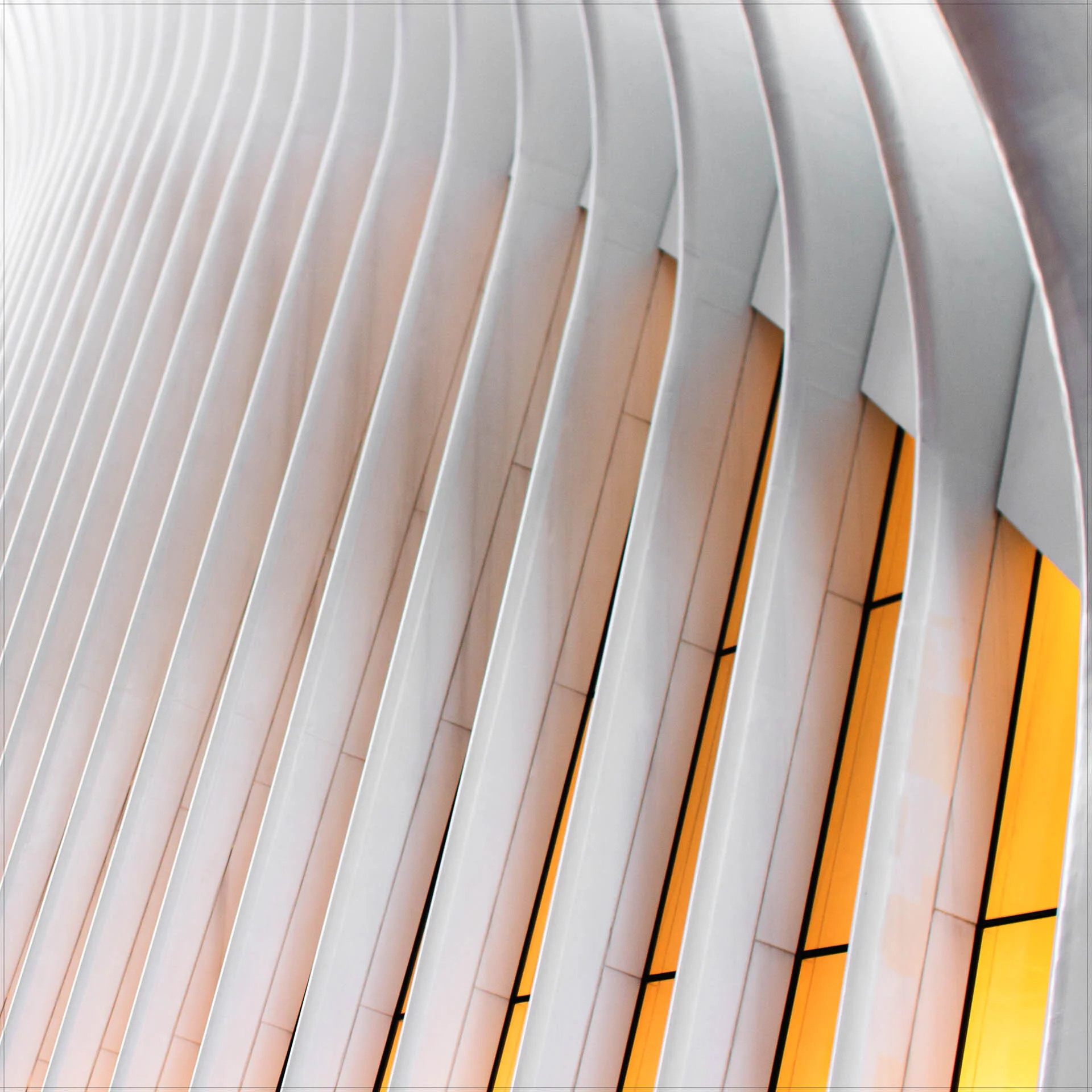 about-header-michael-leedy-photographer.jpg