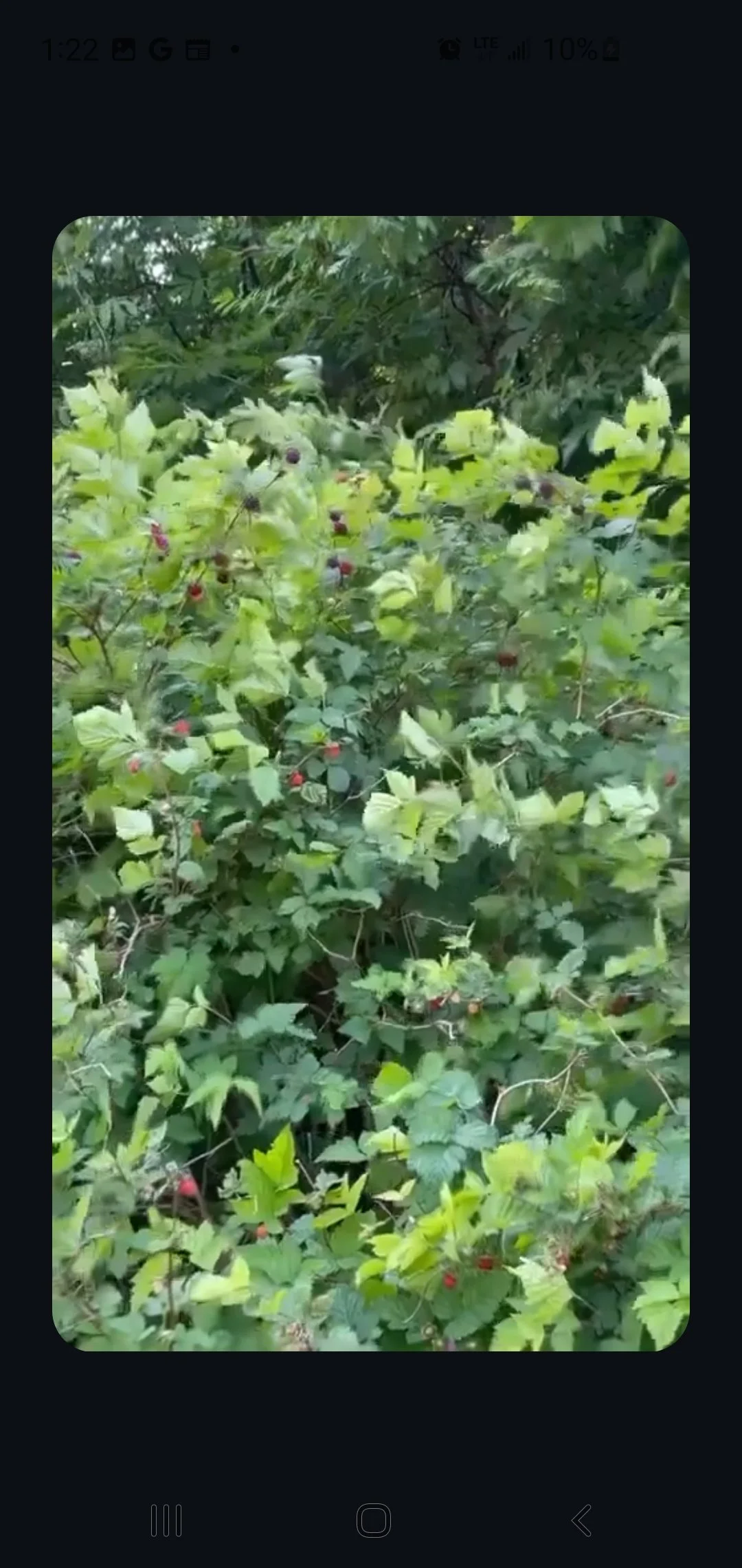 Screenshot_20241010-132221_Instagram.jpg