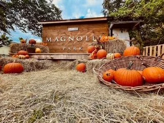 Pumpkins and hay bales at Magnolia Park entrance with fall decorations.