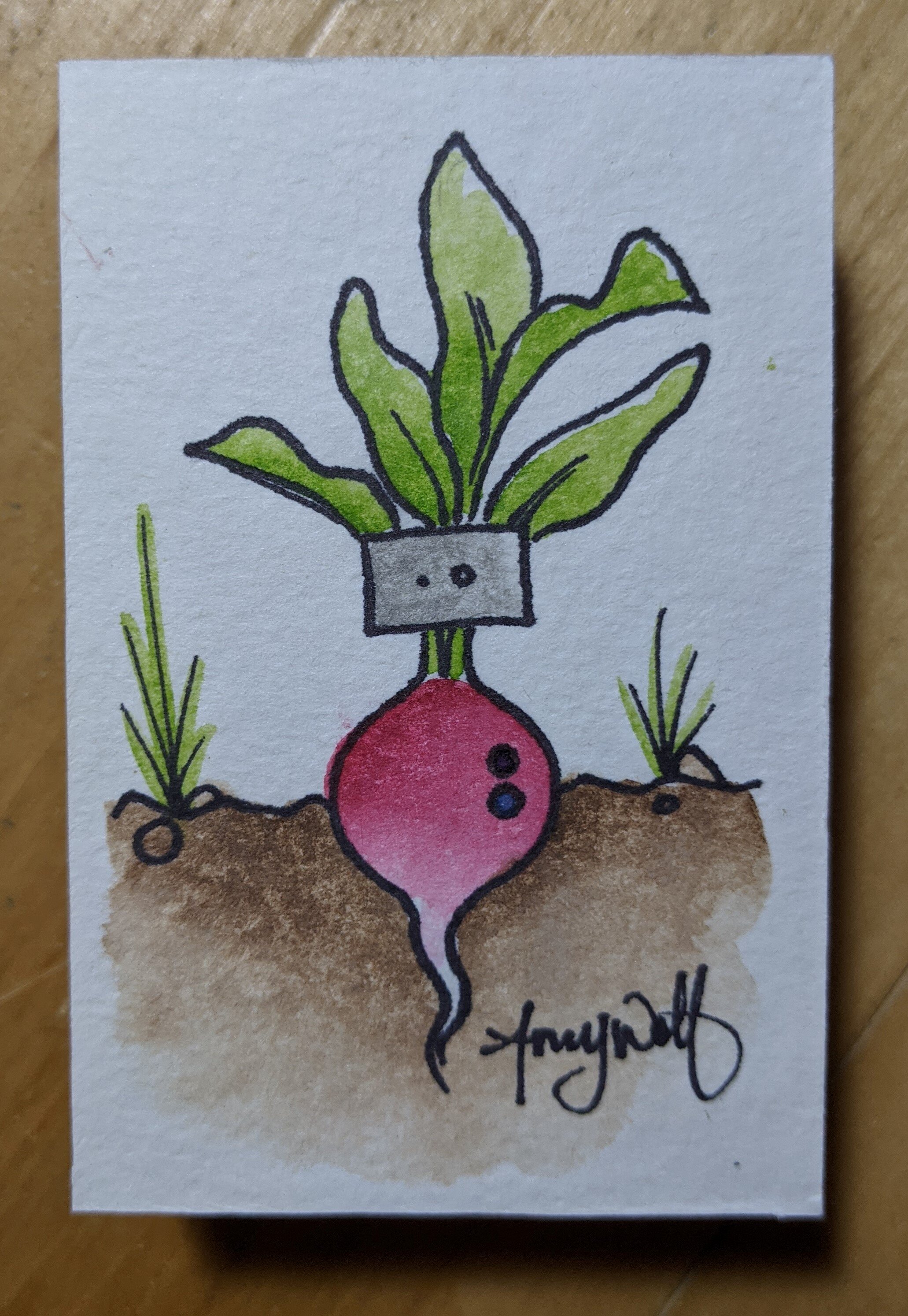 Radish Bot AOM.jpg